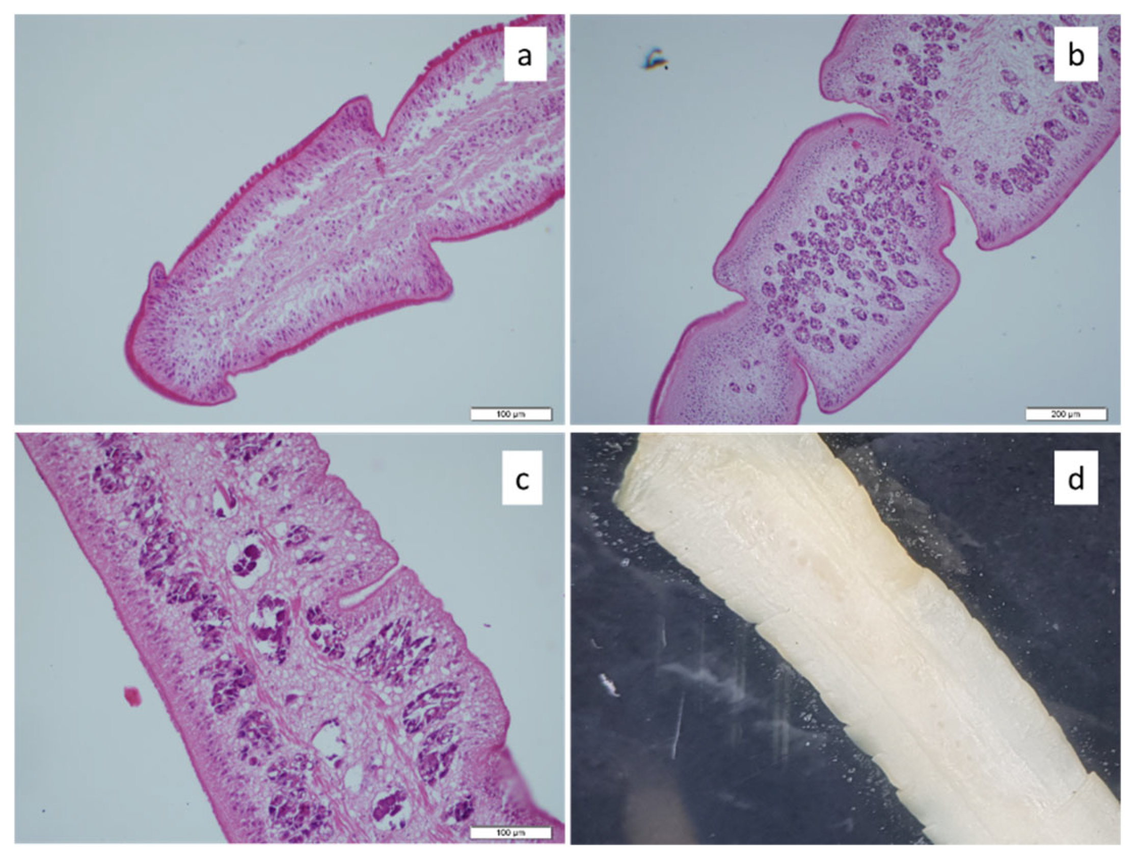 Fishes 10 00395 g004