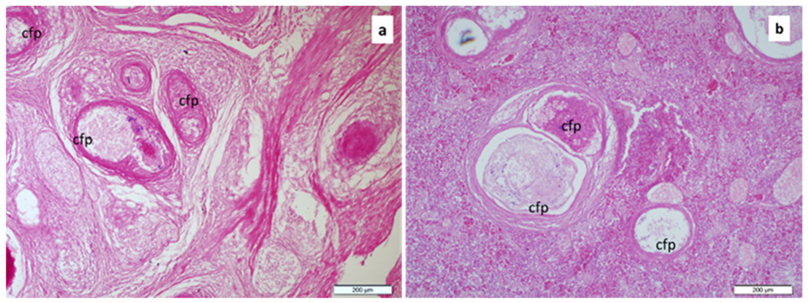 Fishes 10 00395 g006