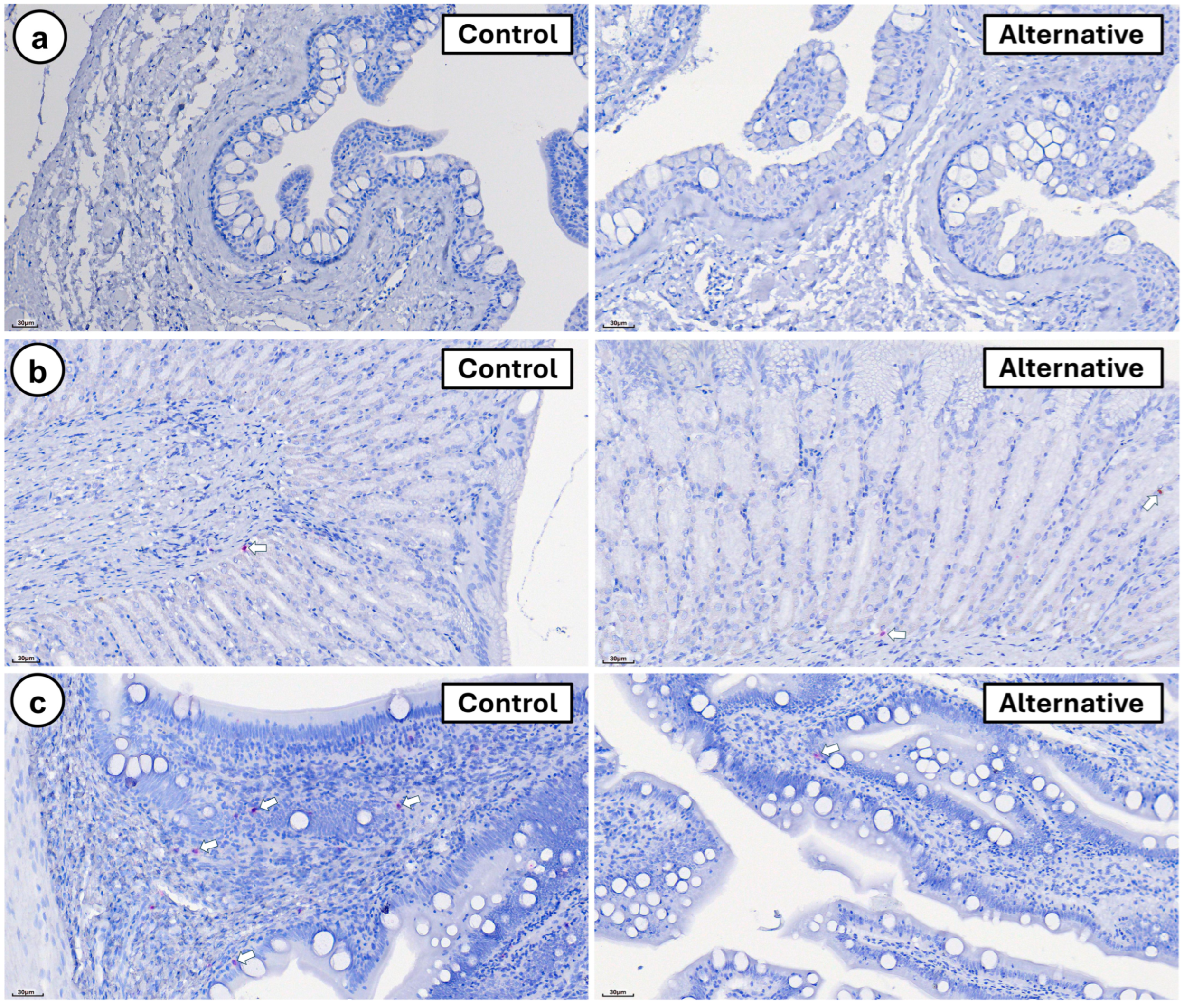 Fishes 10 00396 g001