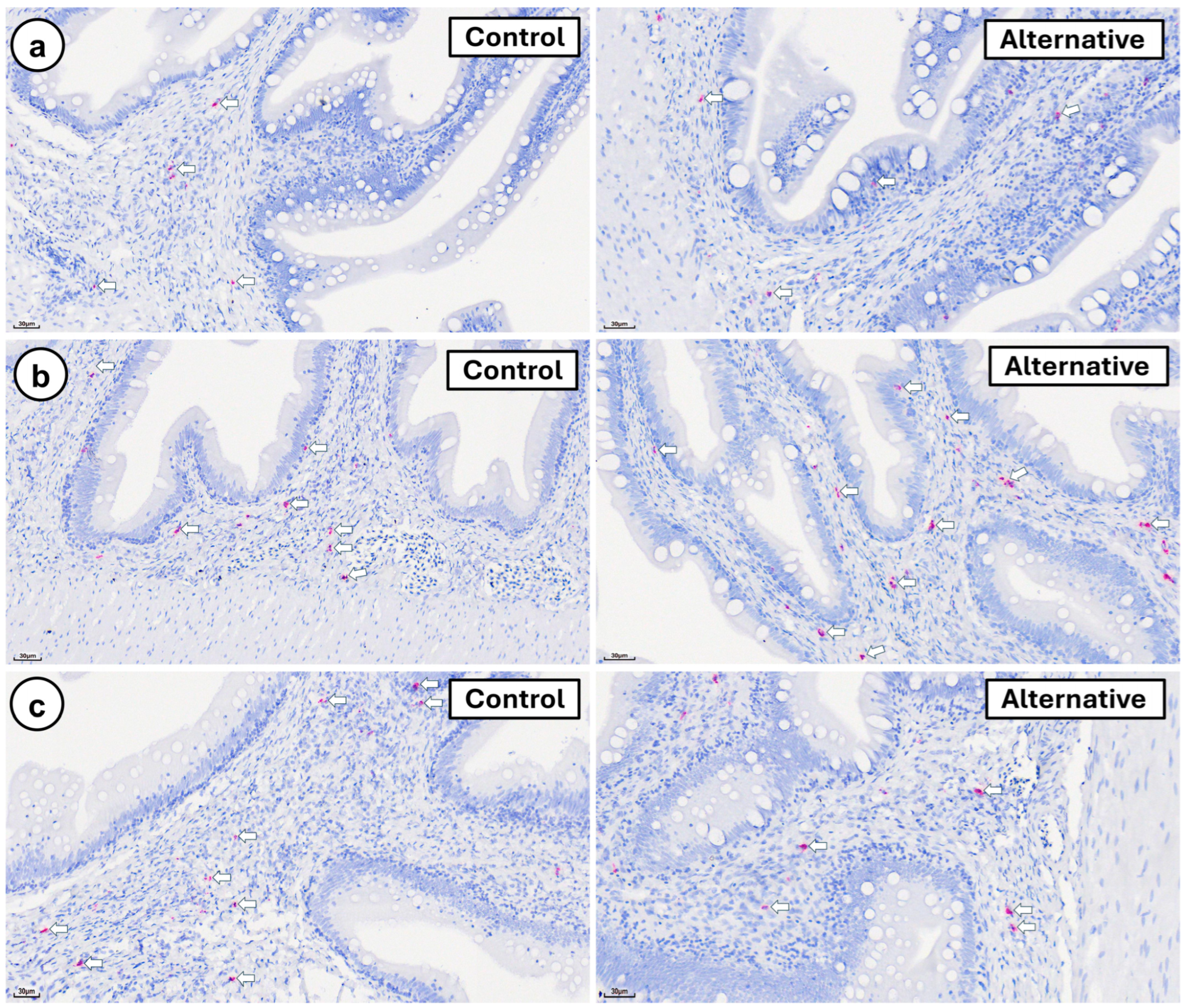 Fishes 10 00396 g007