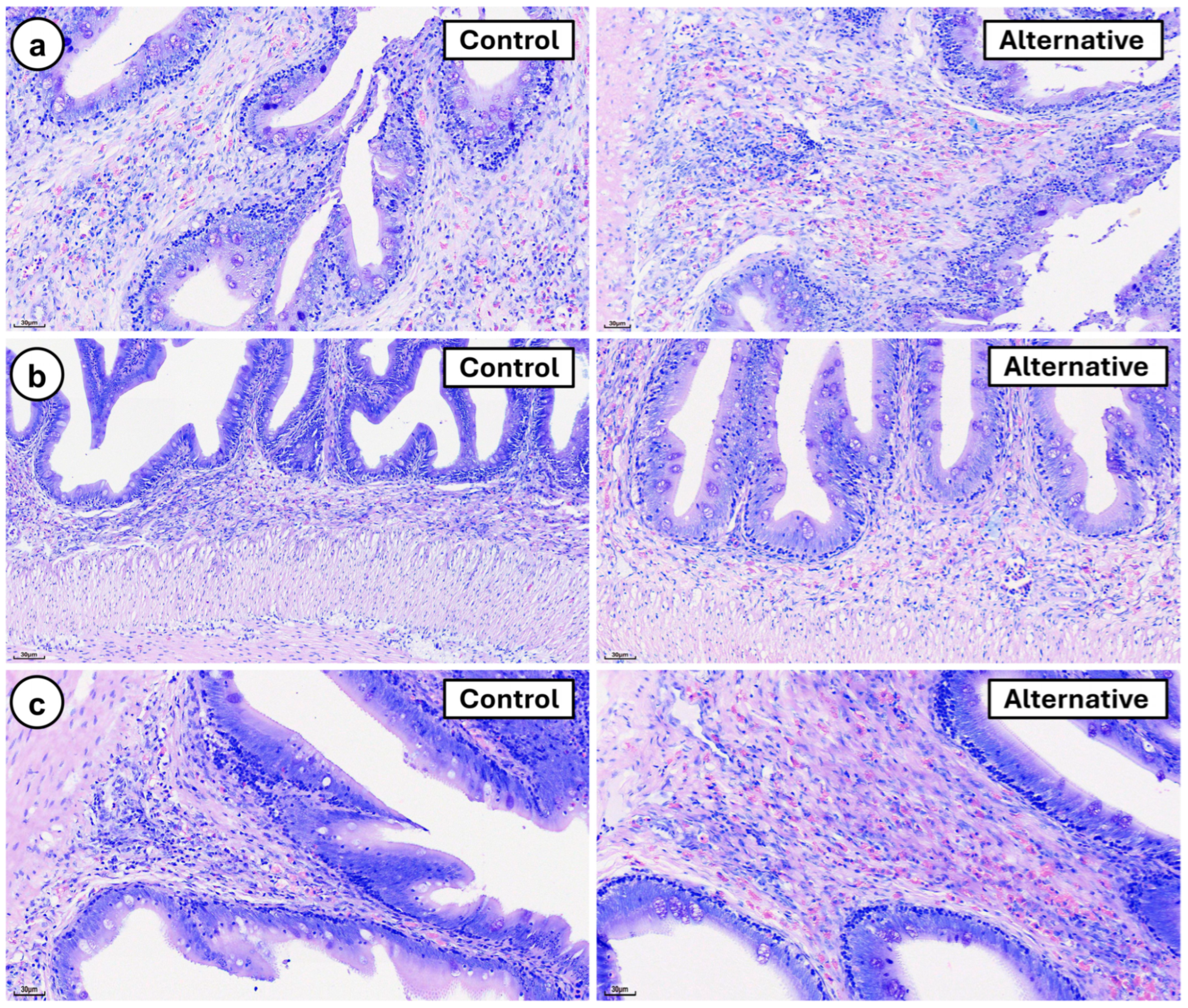 Fishes 10 00396 g011