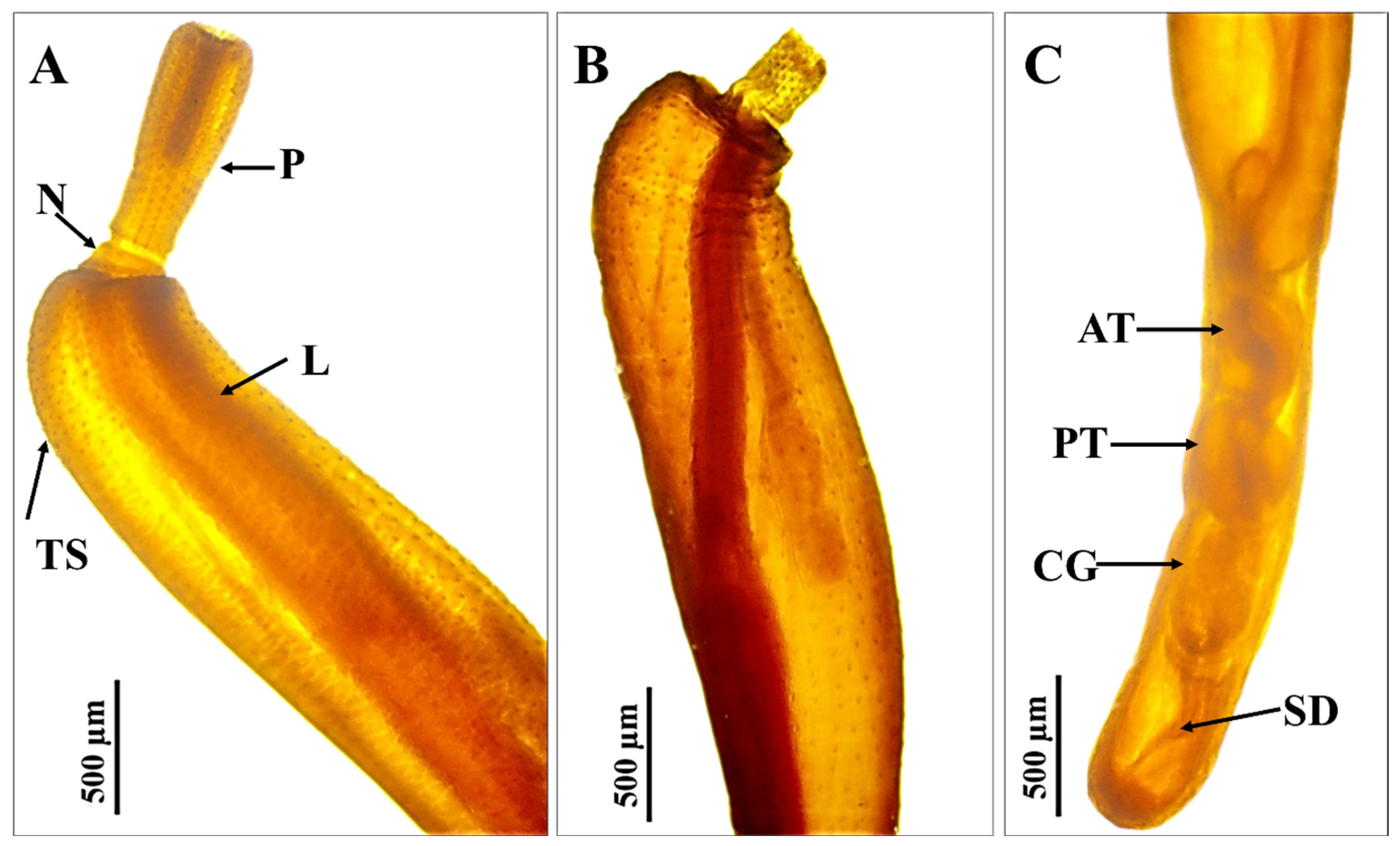 Fishes 10 00397 g002