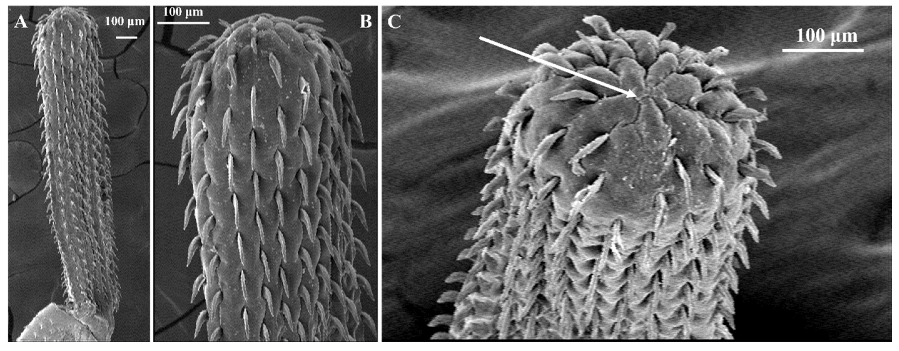 Fishes 10 00397 g003