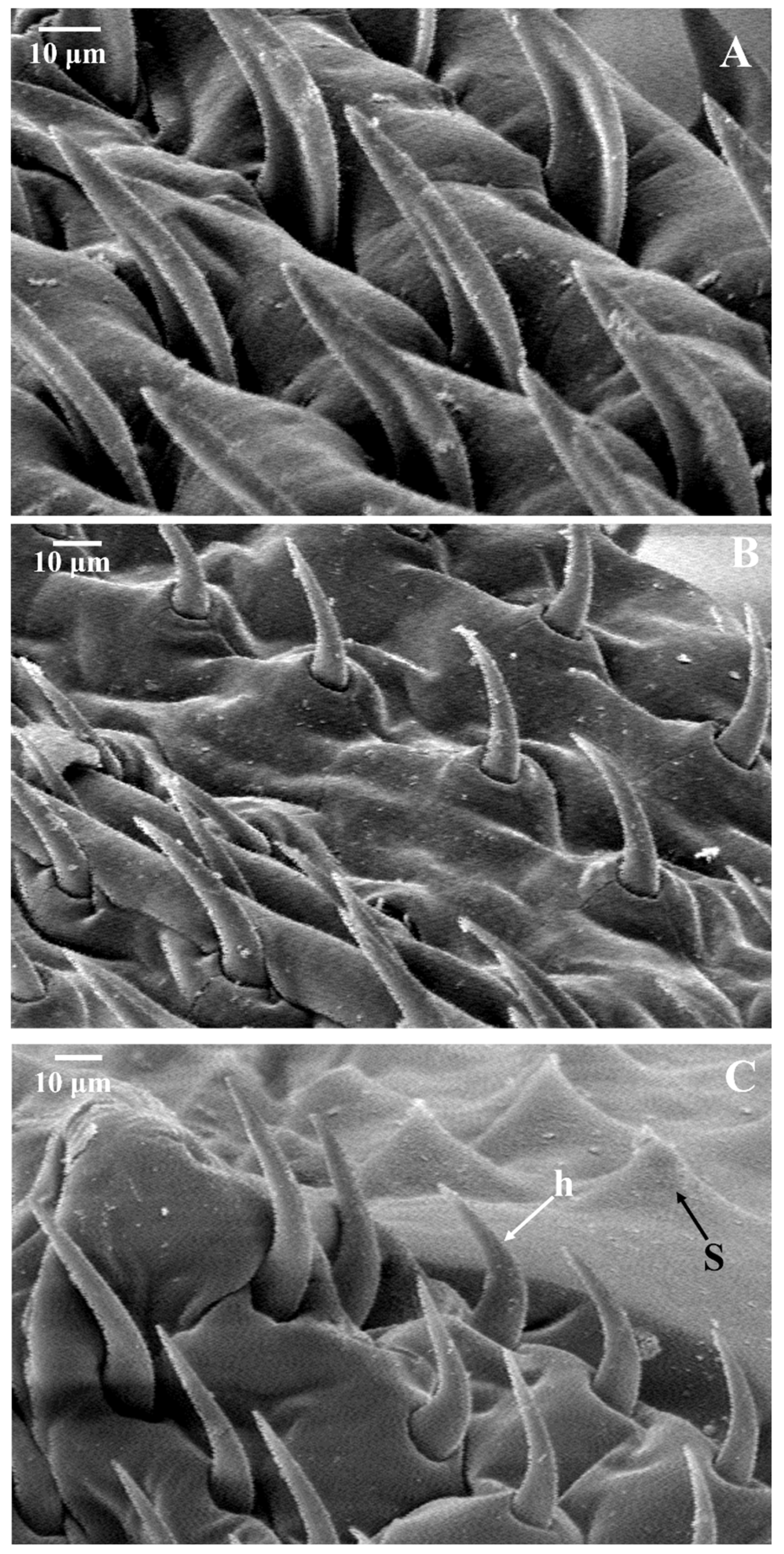 Fishes 10 00397 g004