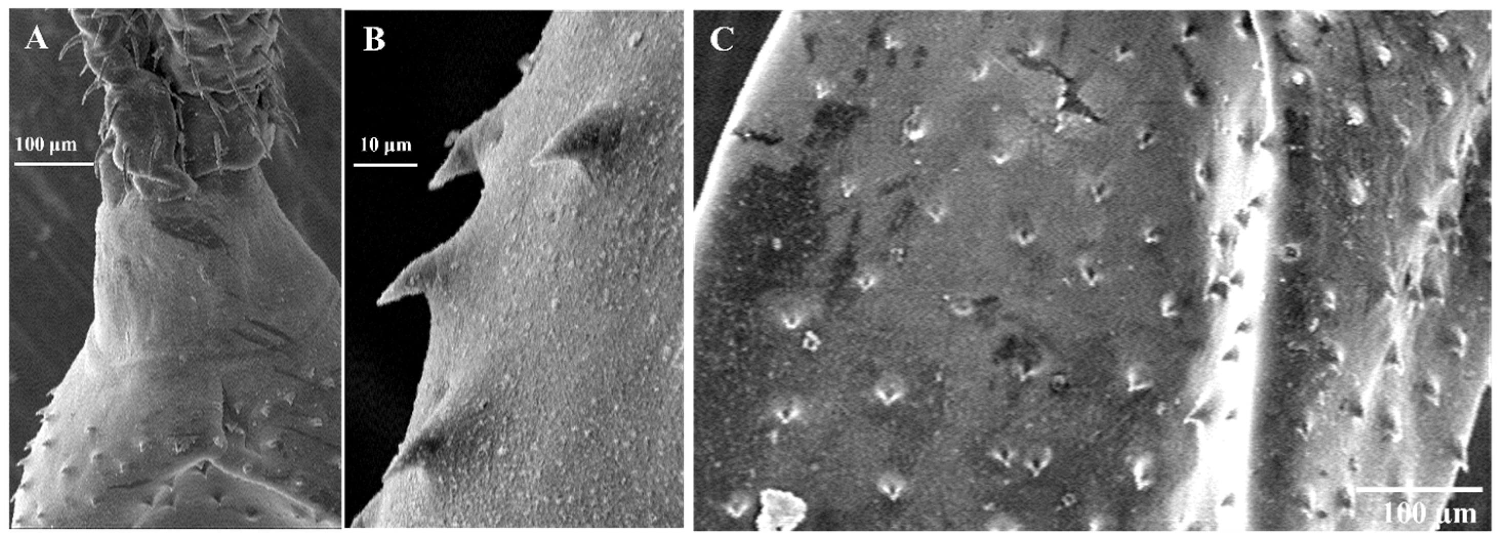 Fishes 10 00397 g005