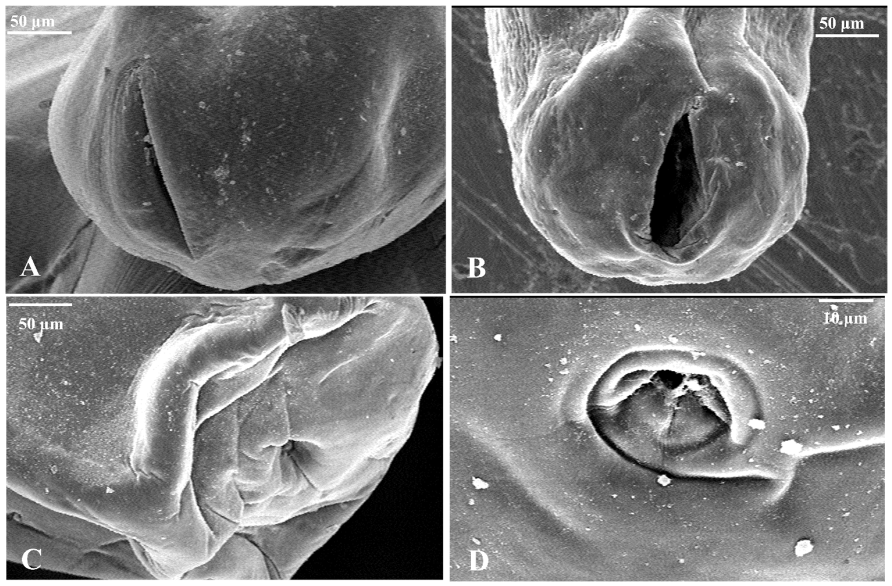 Fishes 10 00397 g006