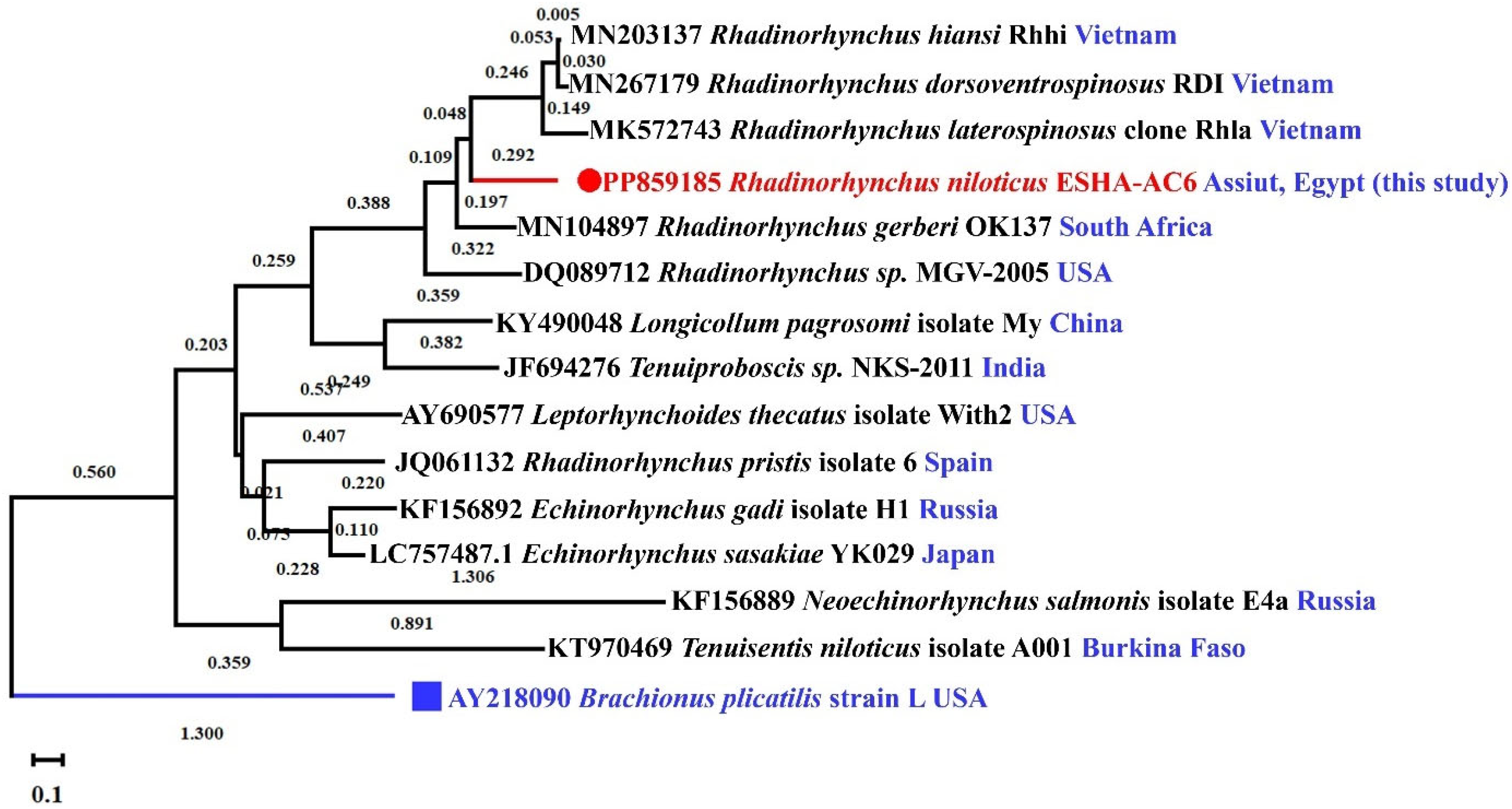 Fishes 10 00397 g007