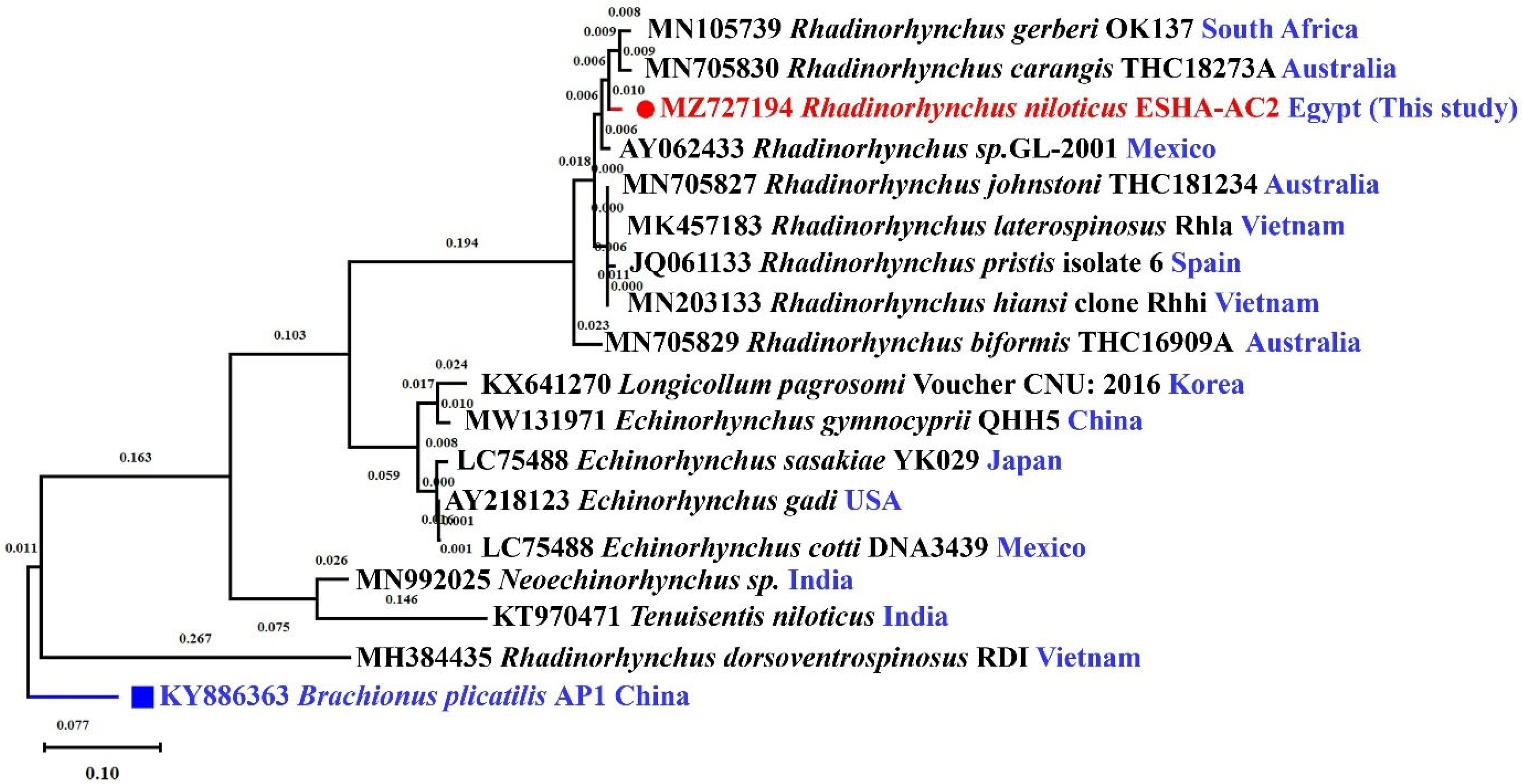 Fishes 10 00397 g008
