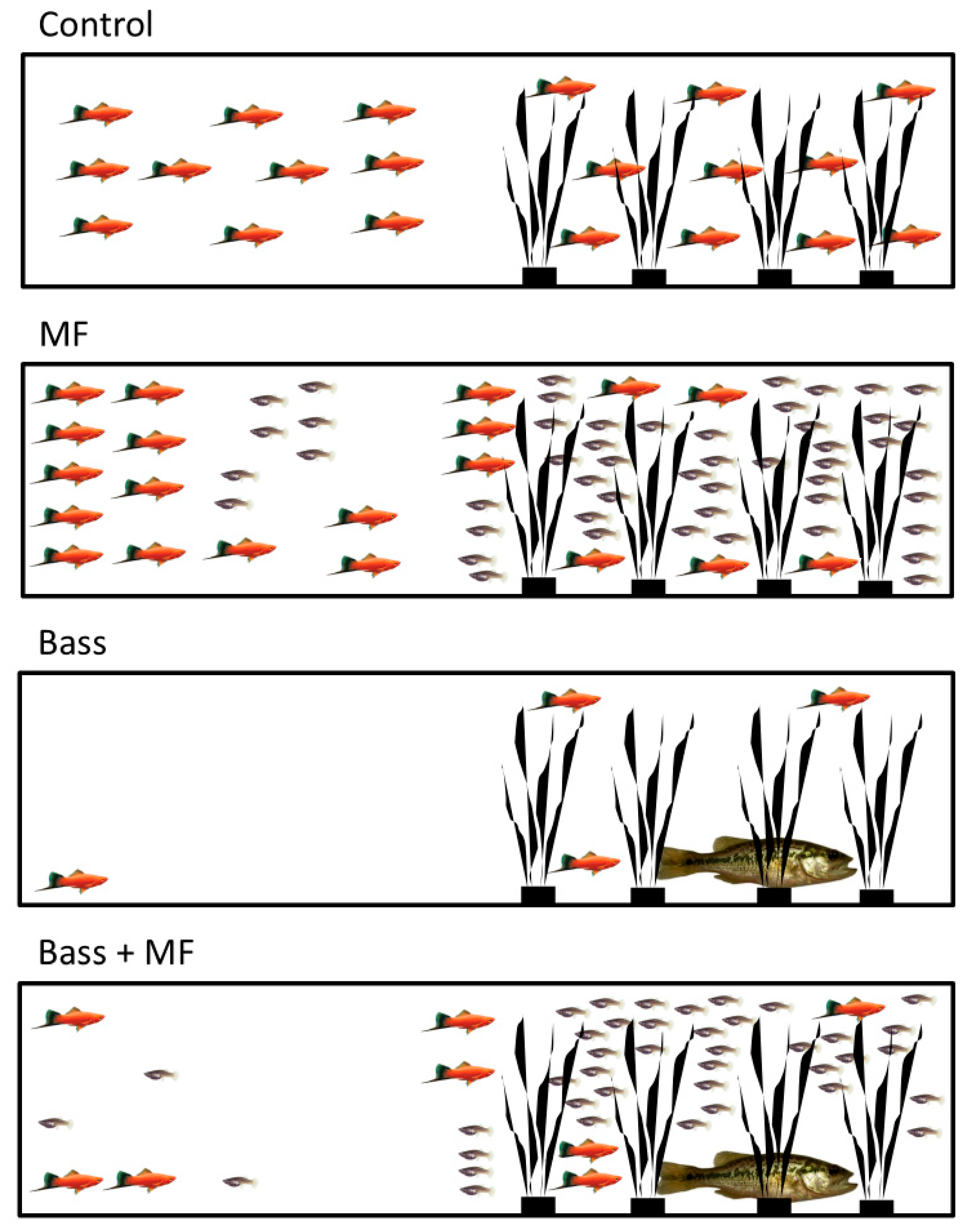 Fishes 10 00398 g002
