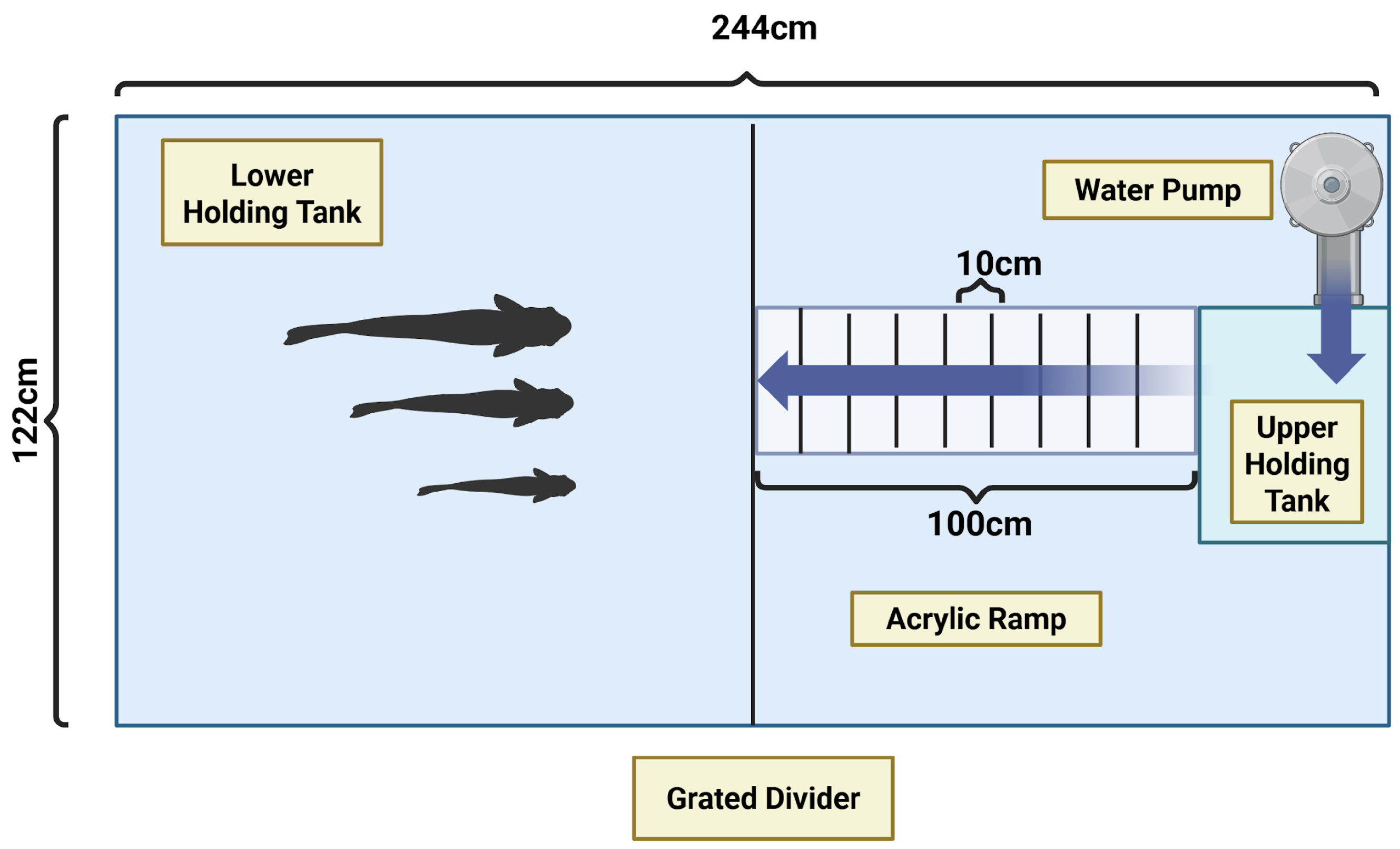 Fishes 10 00401 g001 Fishes 10 00401 g001