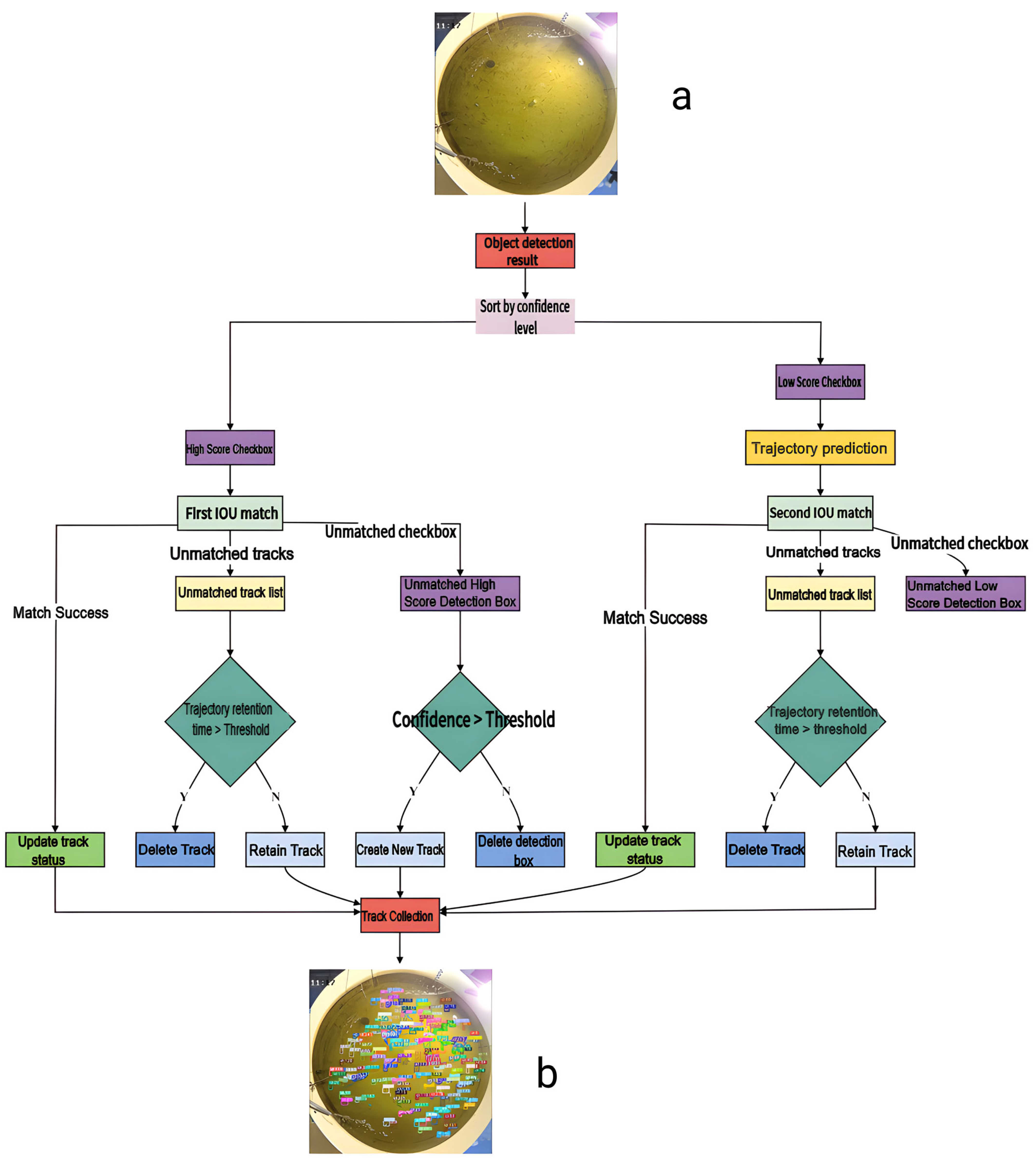 Fishes 10 00406 g002