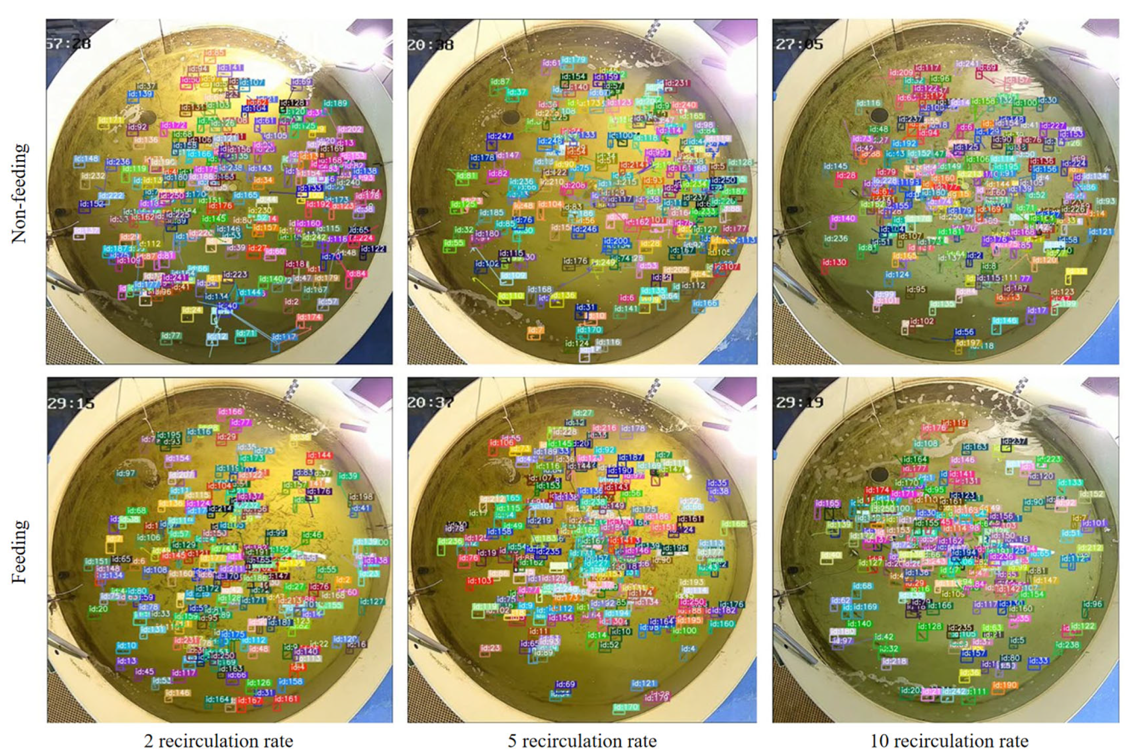 Fishes 10 00406 g003