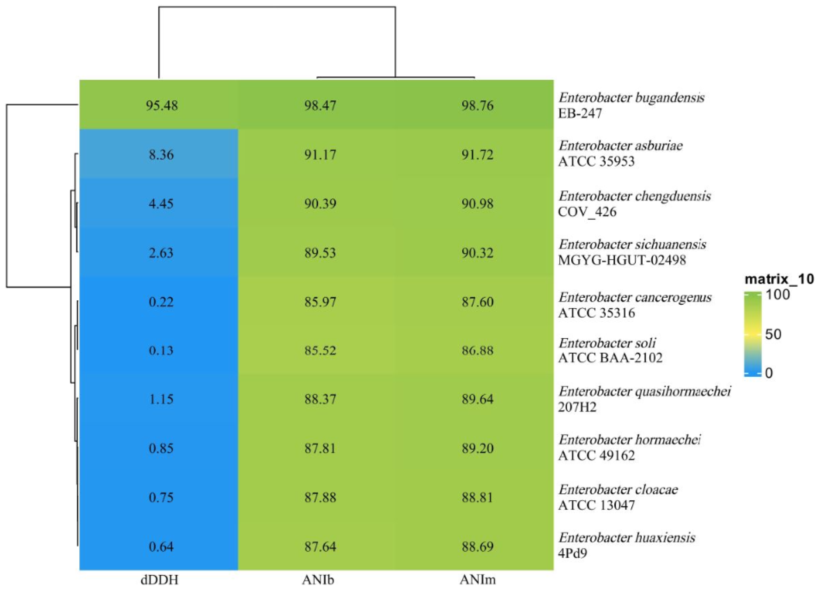 Isolation, Identification, and Virulence Properties of