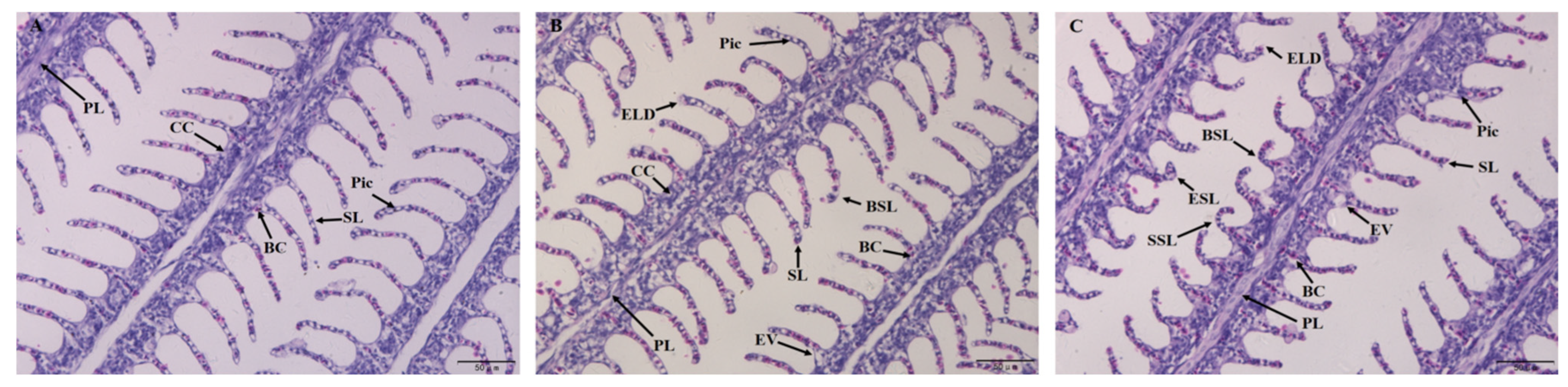 Fishes 10 00412 g001