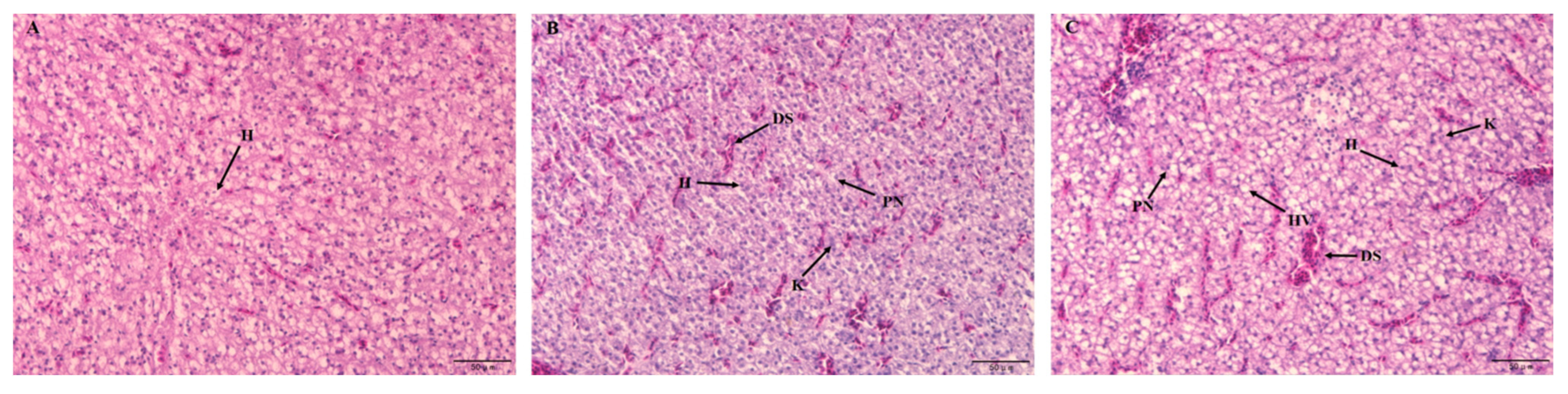 Fishes 10 00412 g002