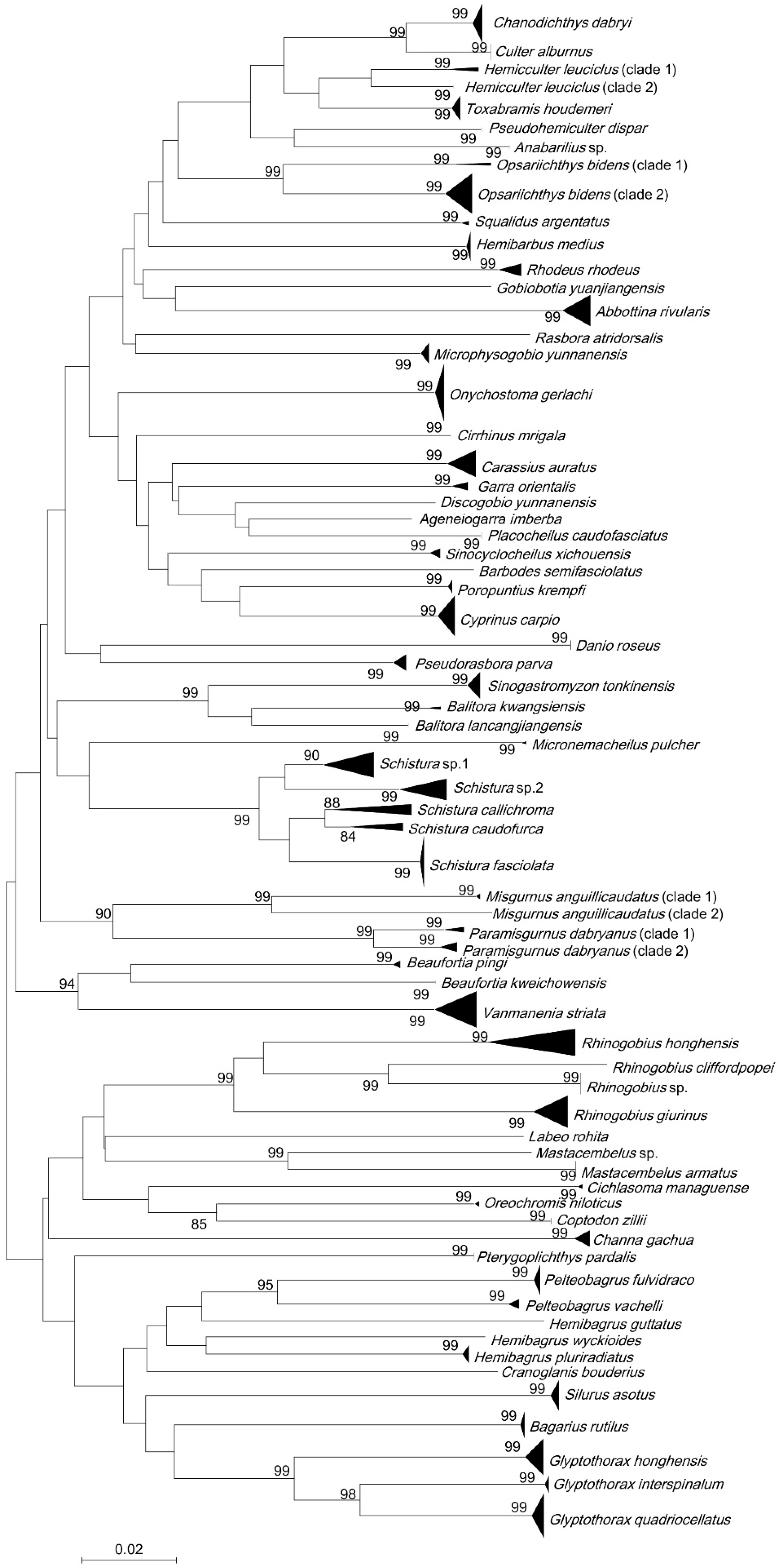 Fishes 10 00418 g003