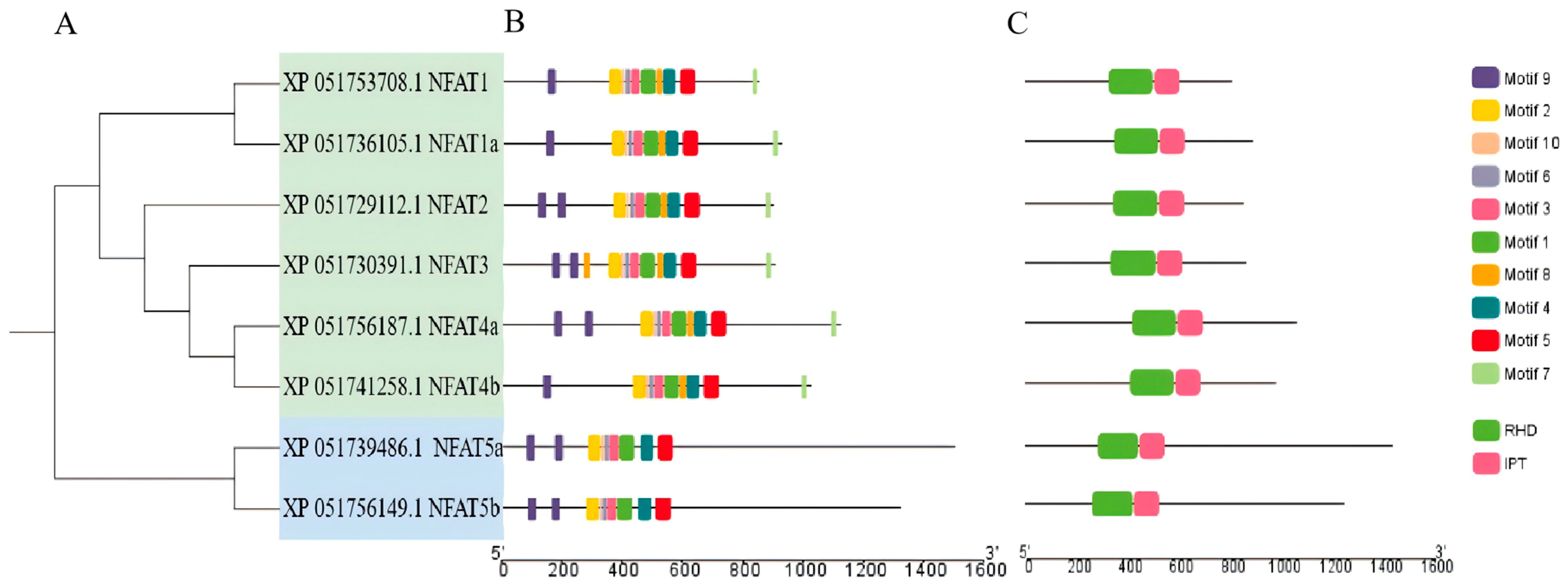 Fishes 10 00422 g001