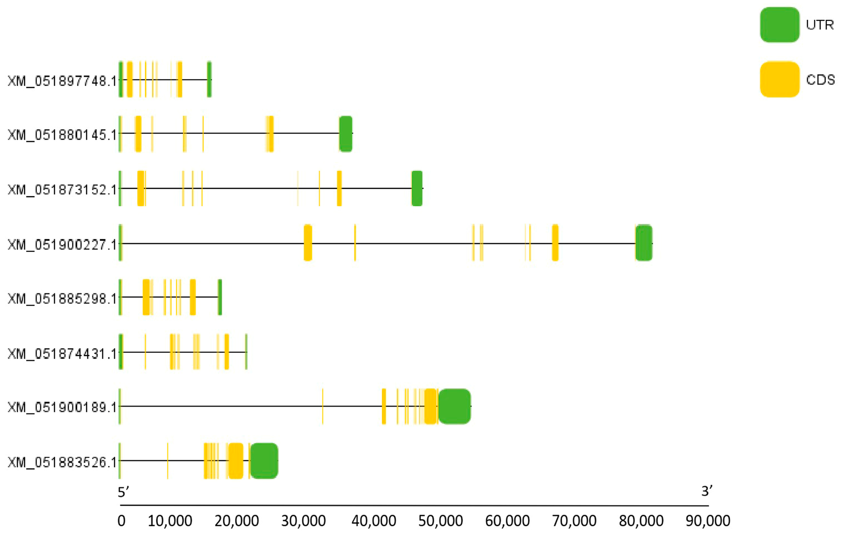 Fishes 10 00422 g002
