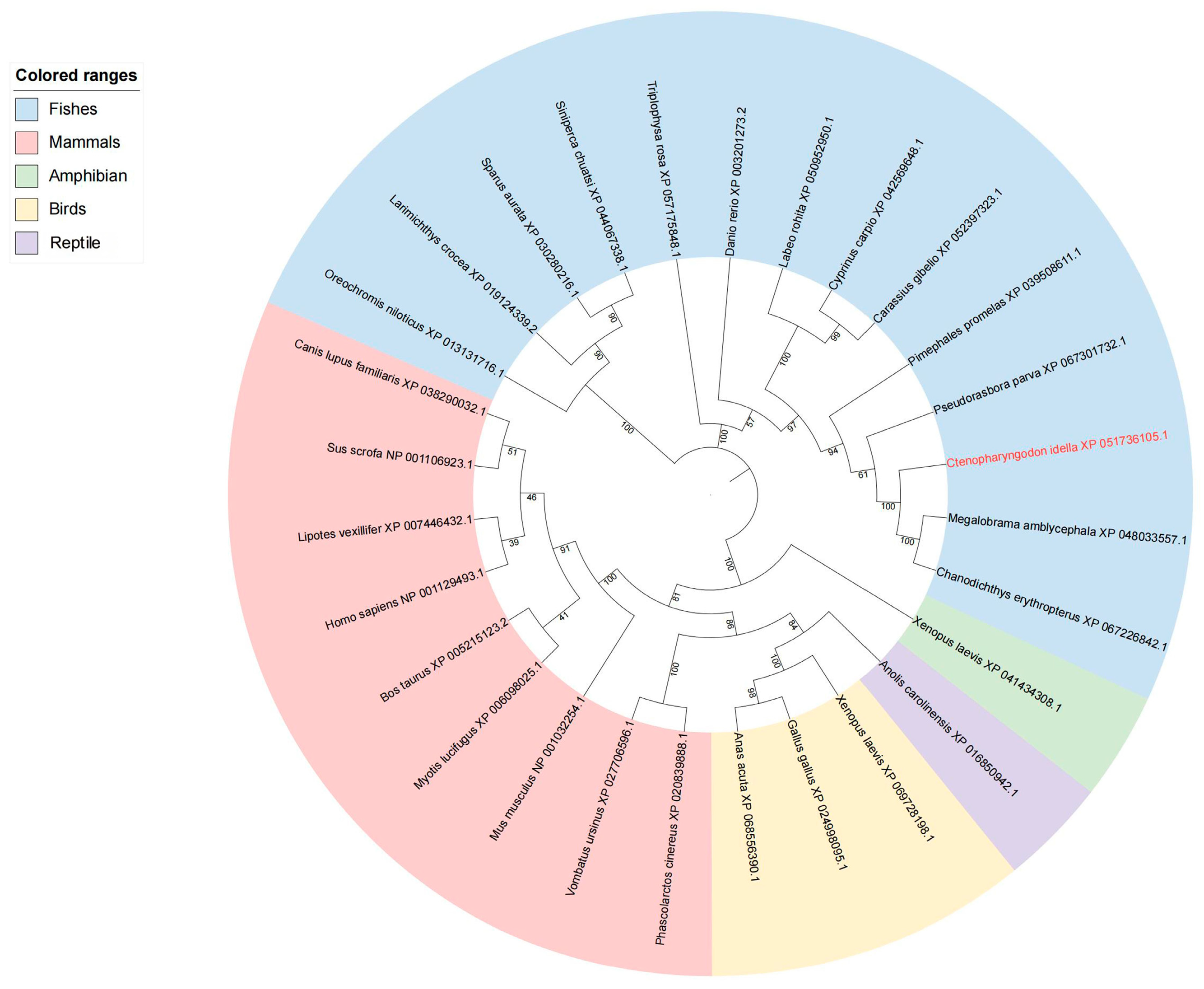 Fishes 10 00422 g005