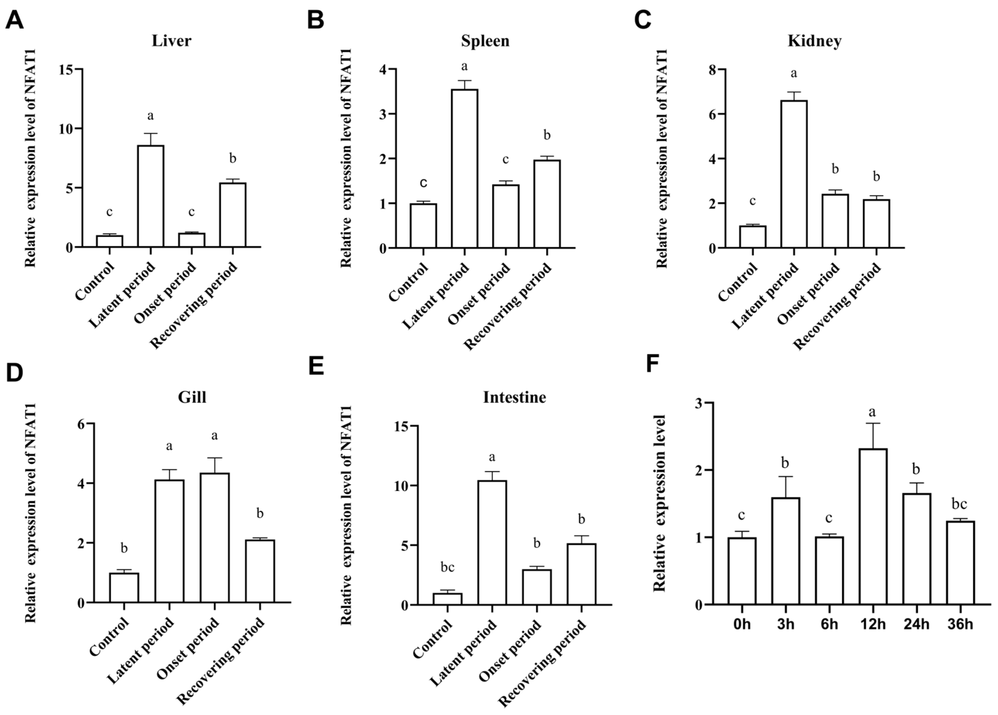 Fishes 10 00422 g007