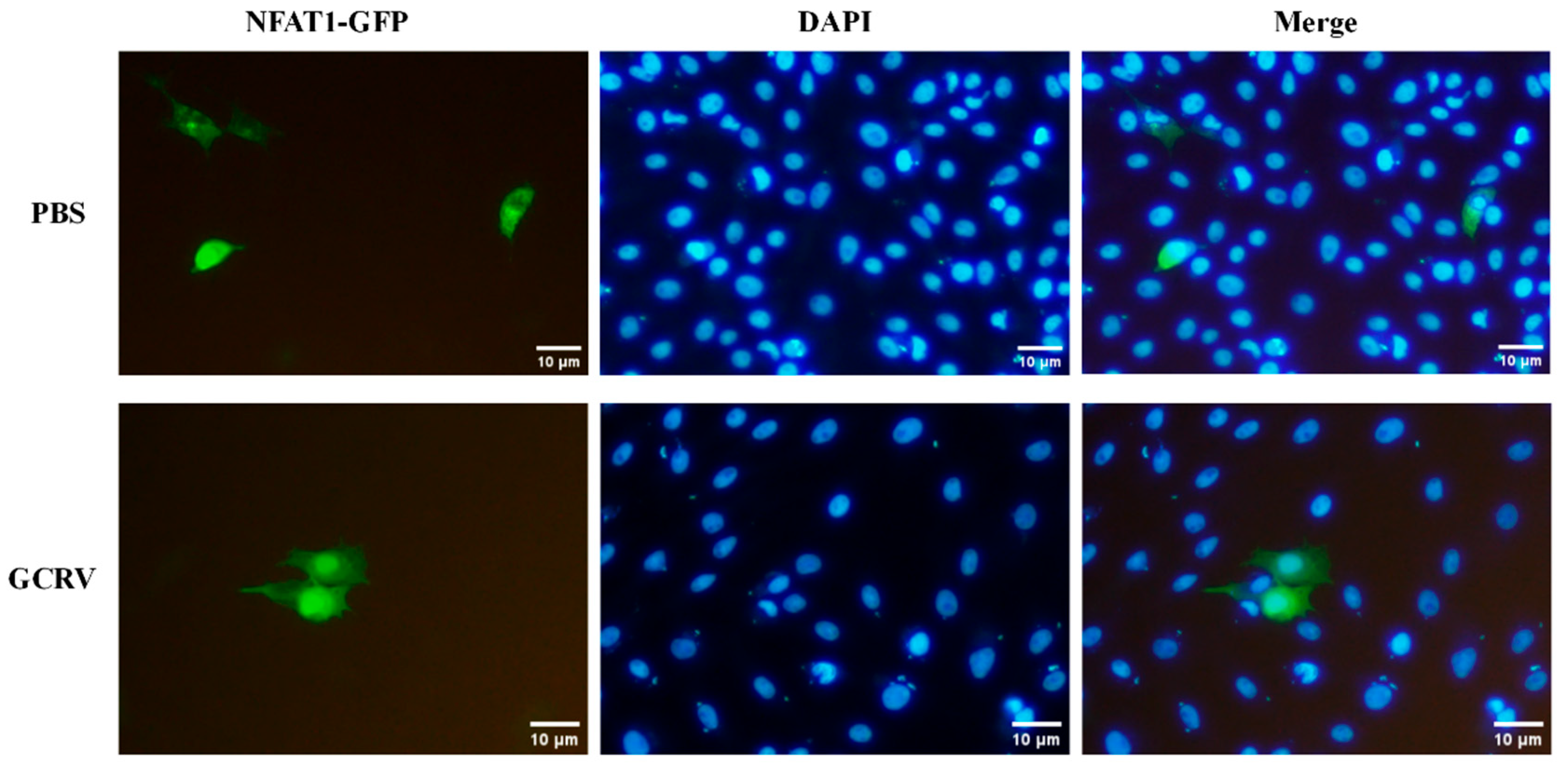 Fishes 10 00422 g008