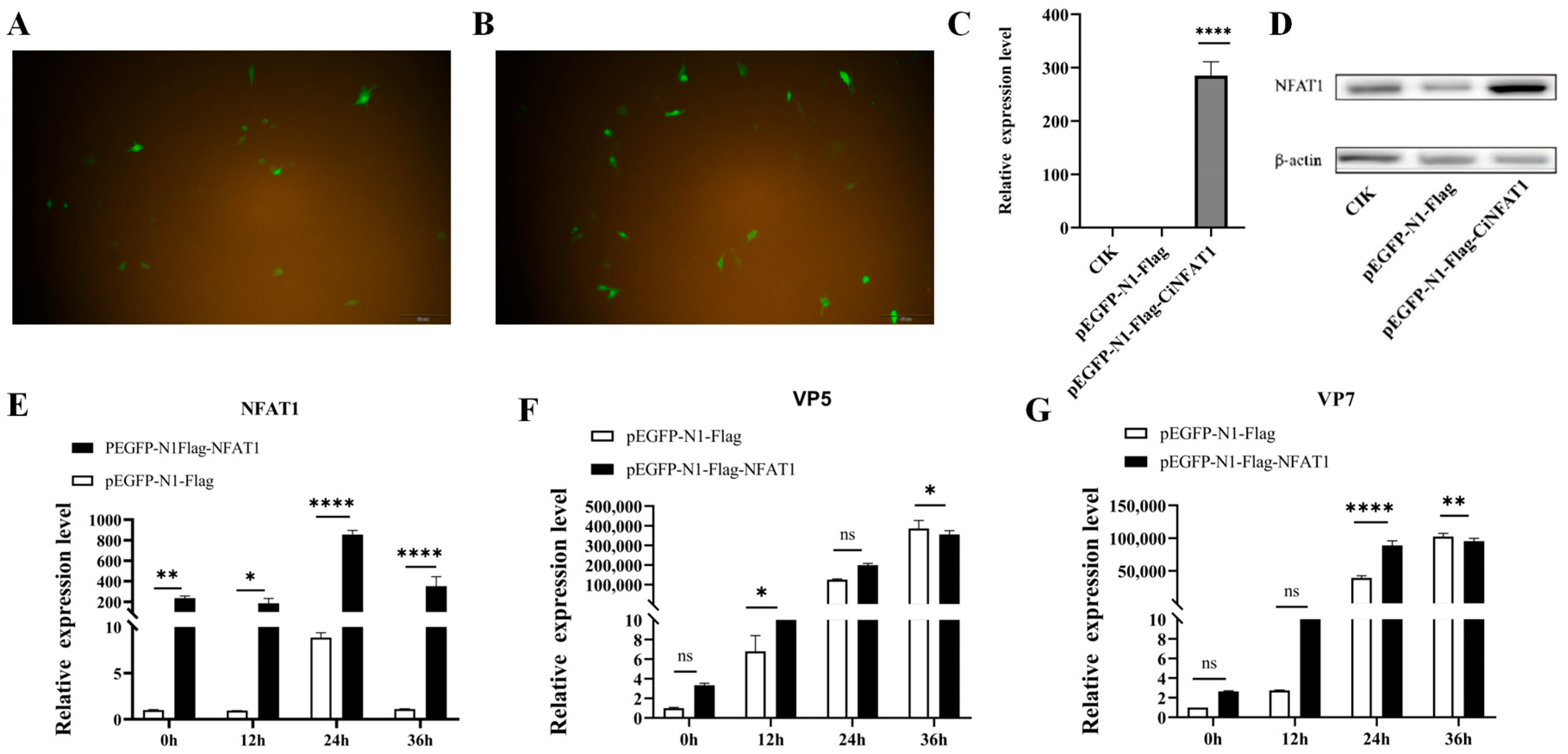 Fishes 10 00422 g009