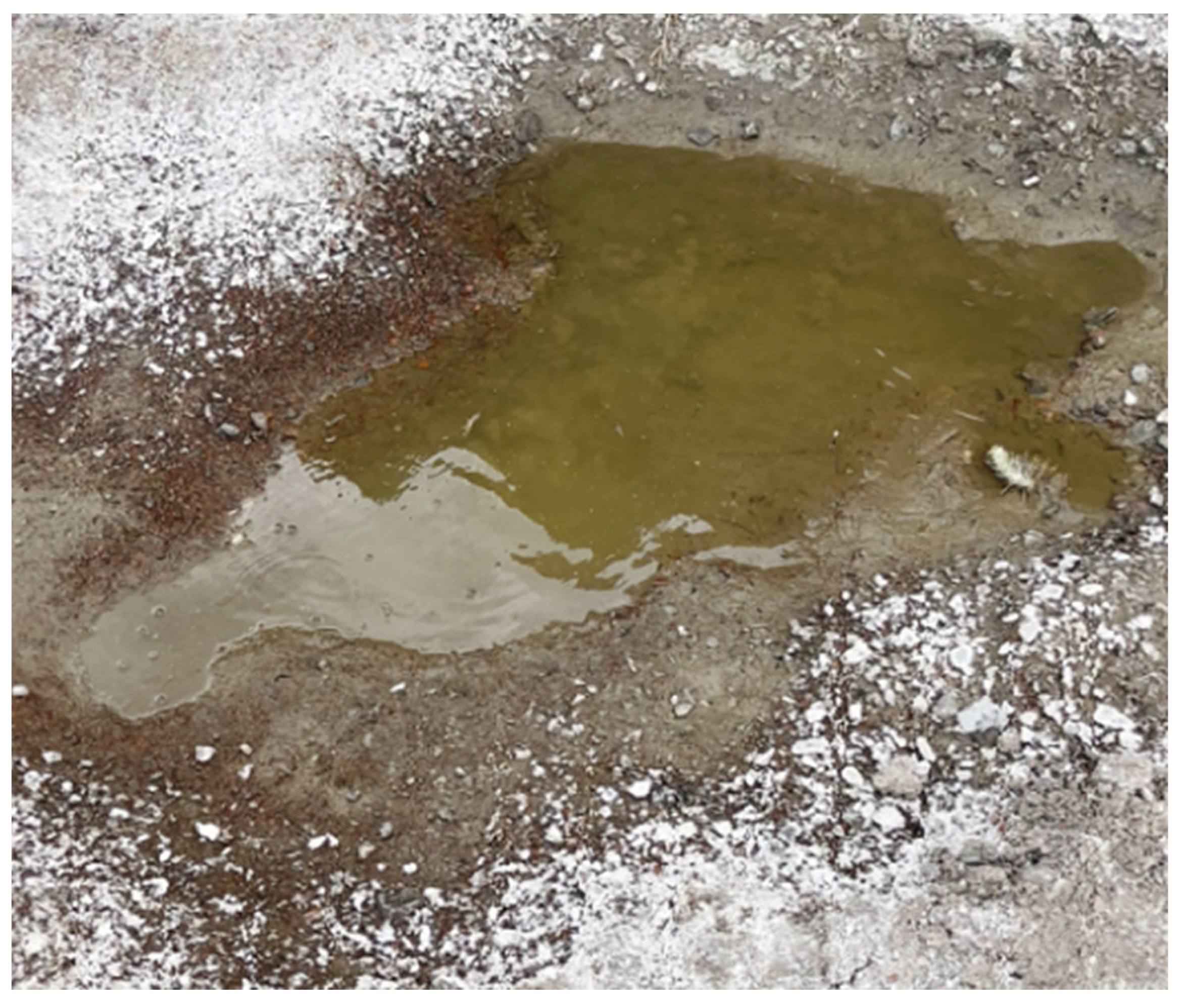 Fishes 10 00423 g002 Fishes 10 00423 g002