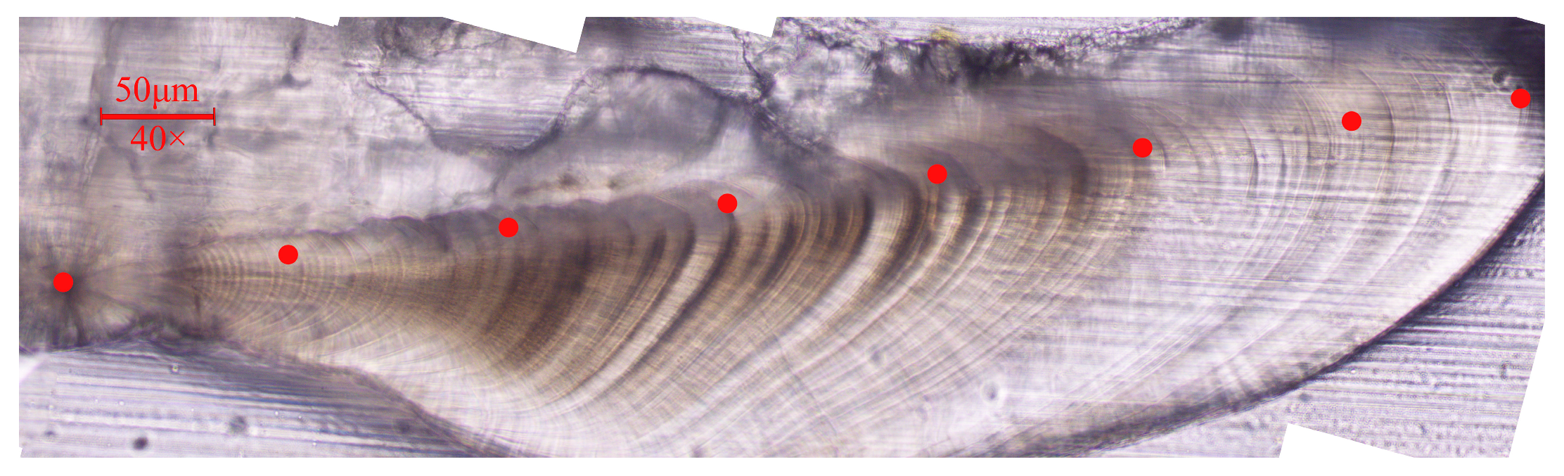 Fishes 10 00425 g002