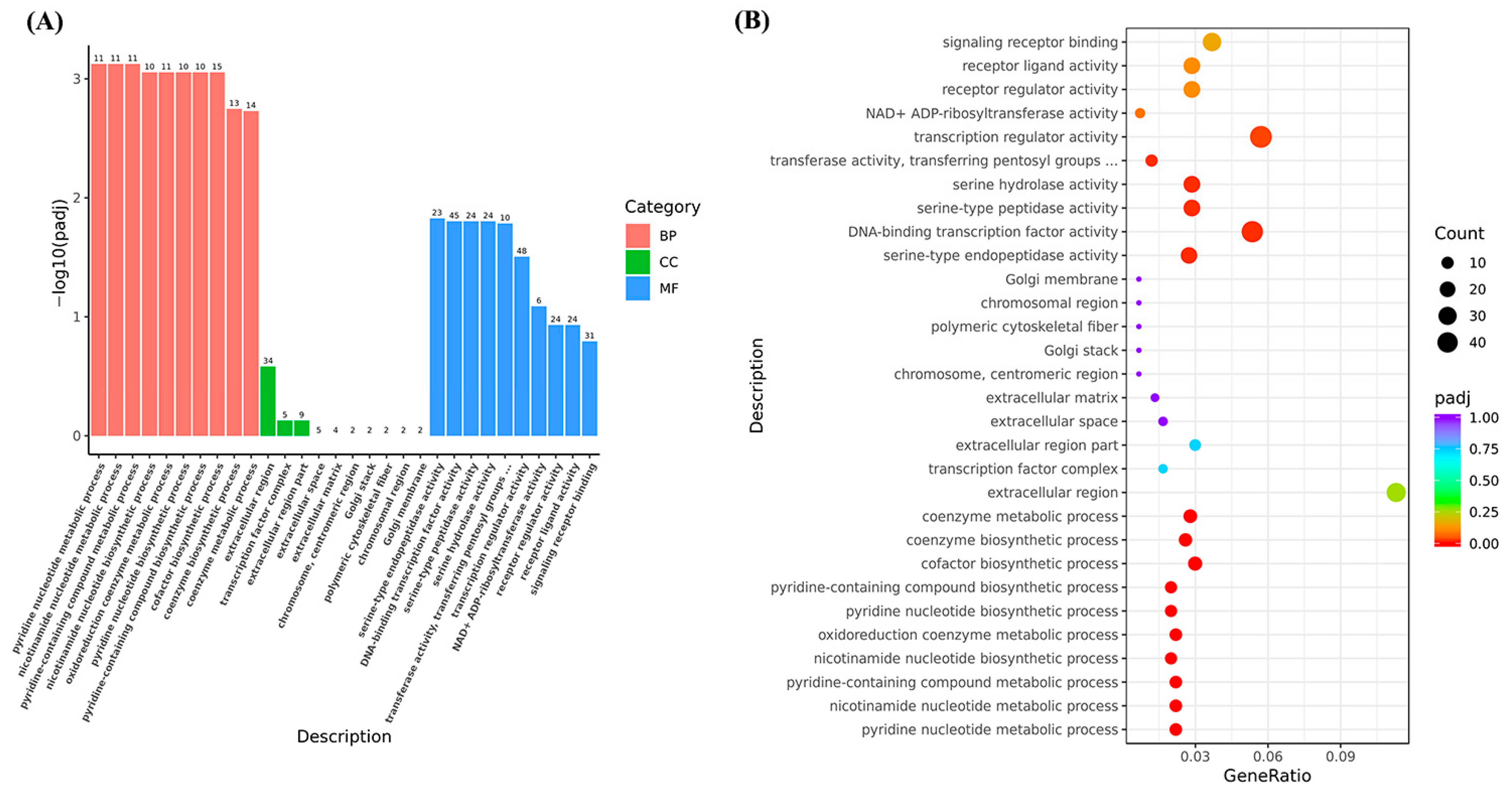 Fishes 10 00426 g002