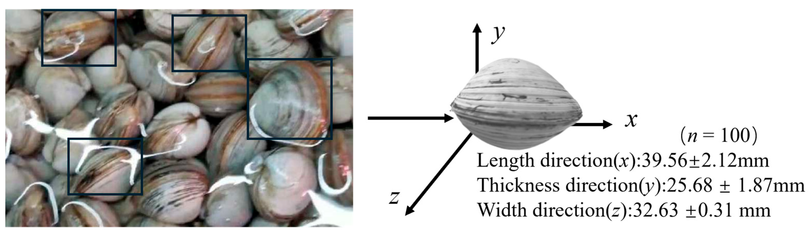 Fishes 10 00429 g002