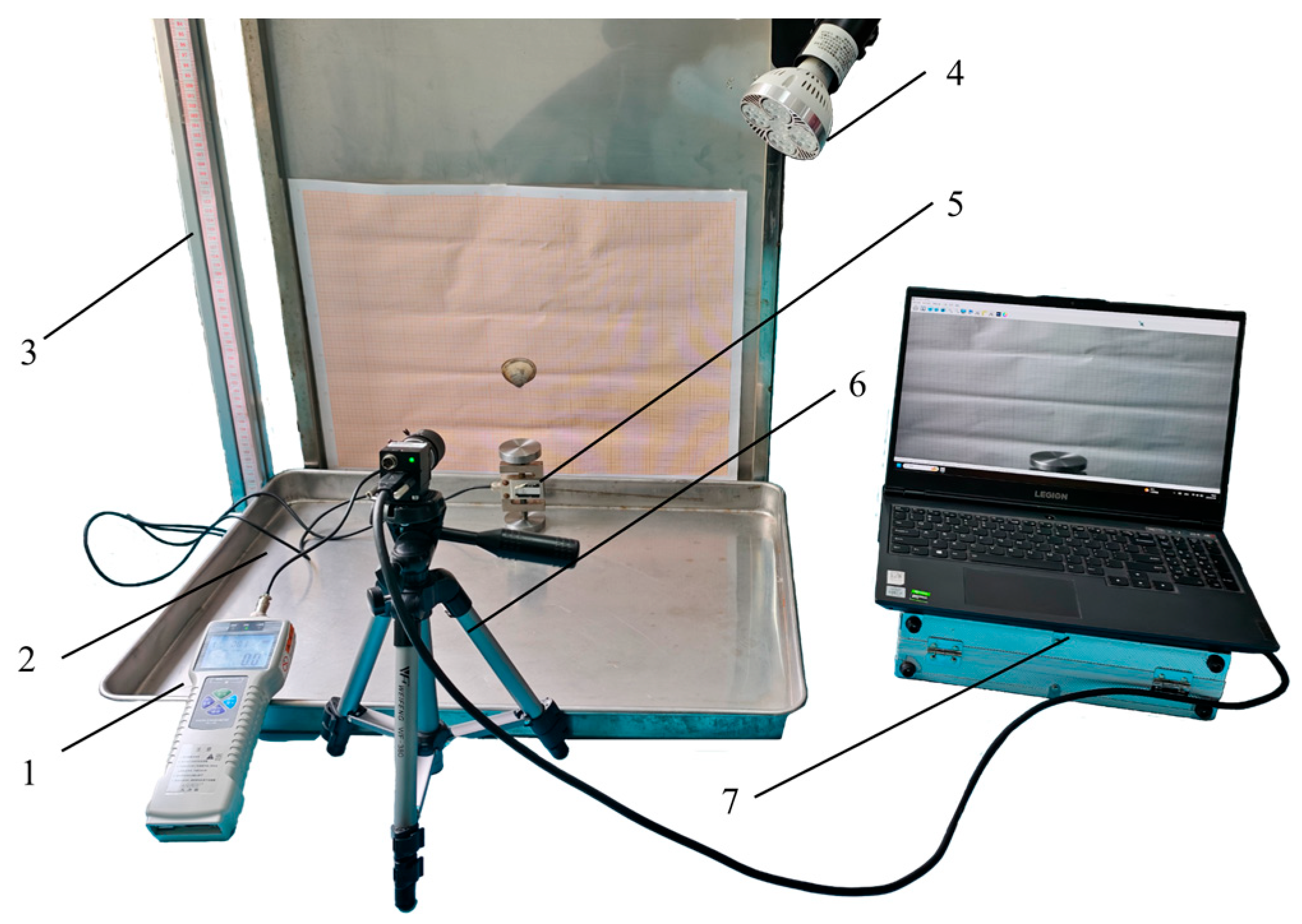 Fishes 10 00429 g006