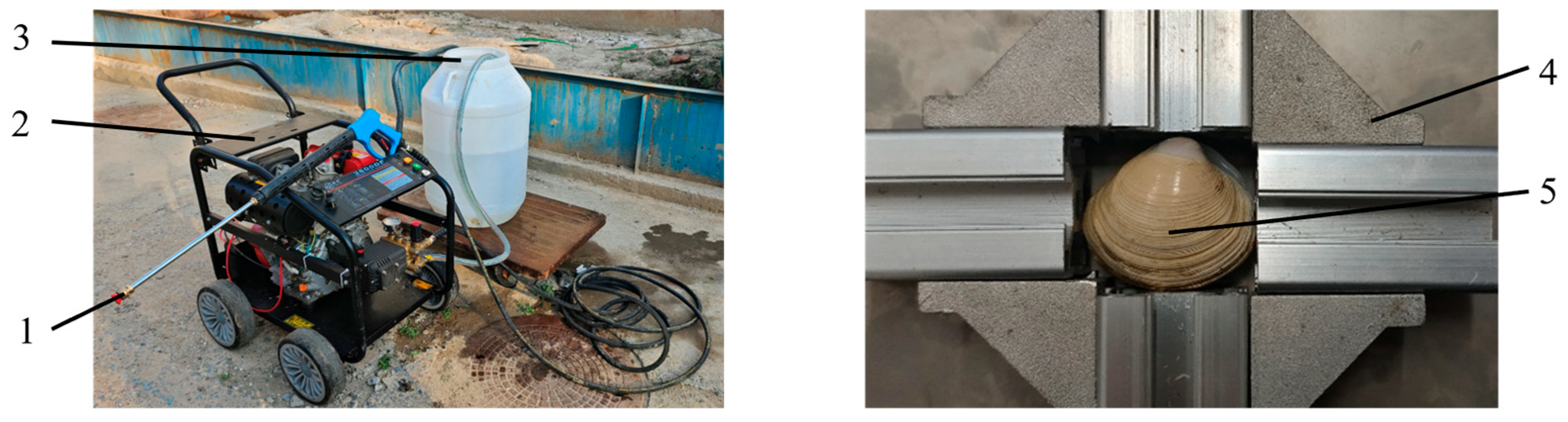 Fishes 10 00429 g007