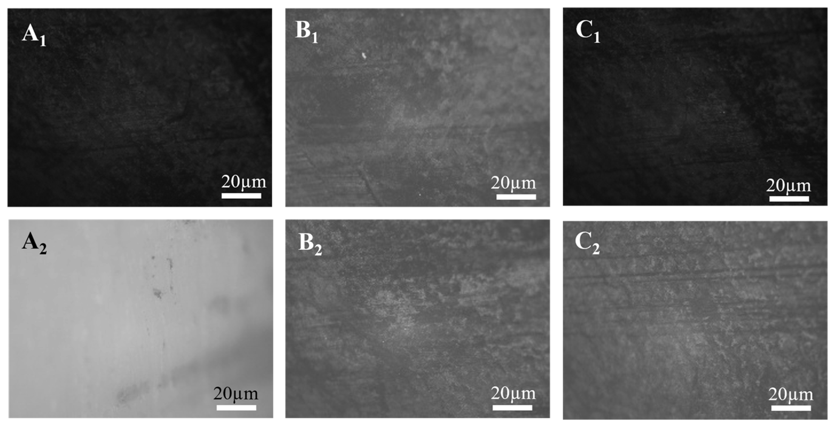 Fishes 10 00429 g008