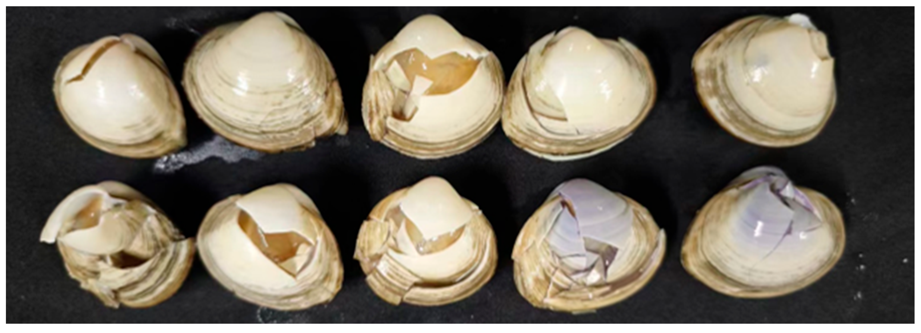 Fishes 10 00429 g009