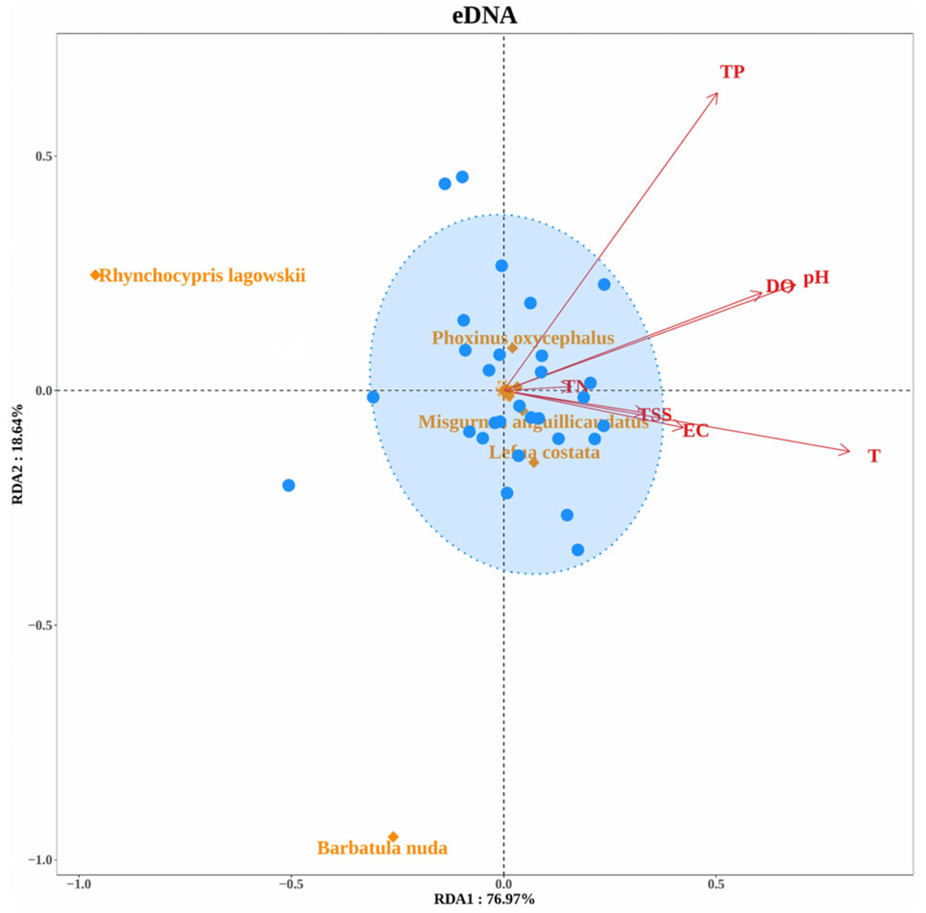 Fishes 10 00430 g012a