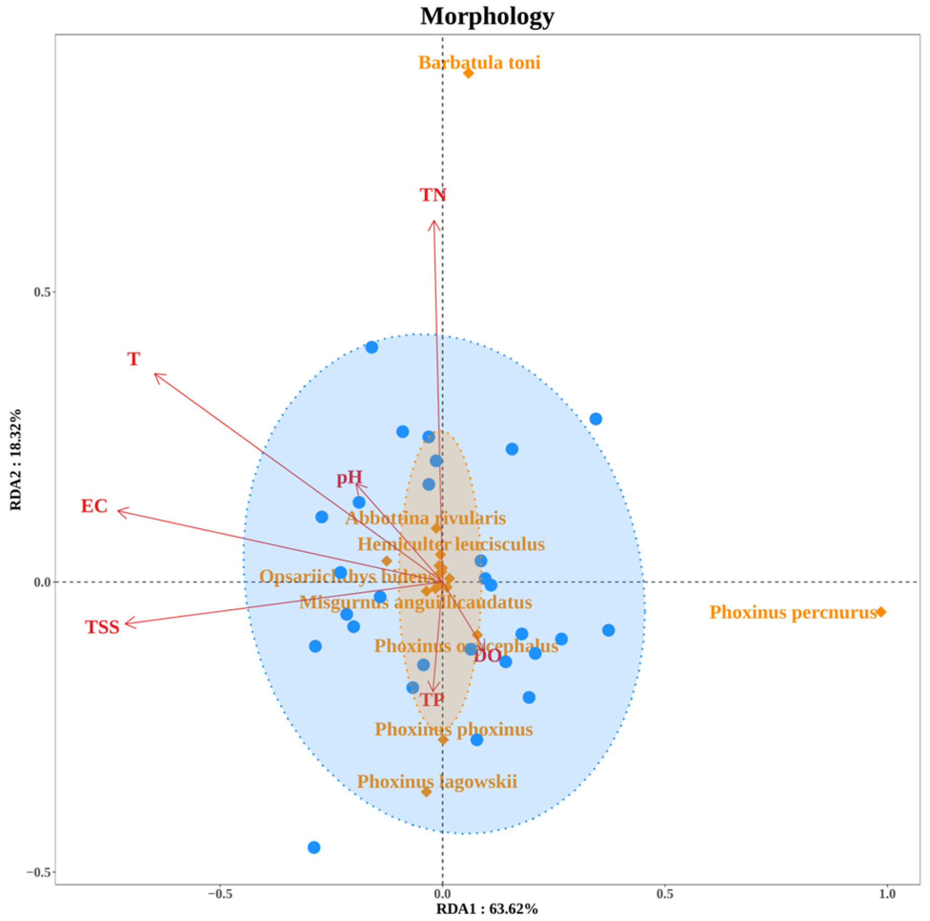 Fishes 10 00430 g012b