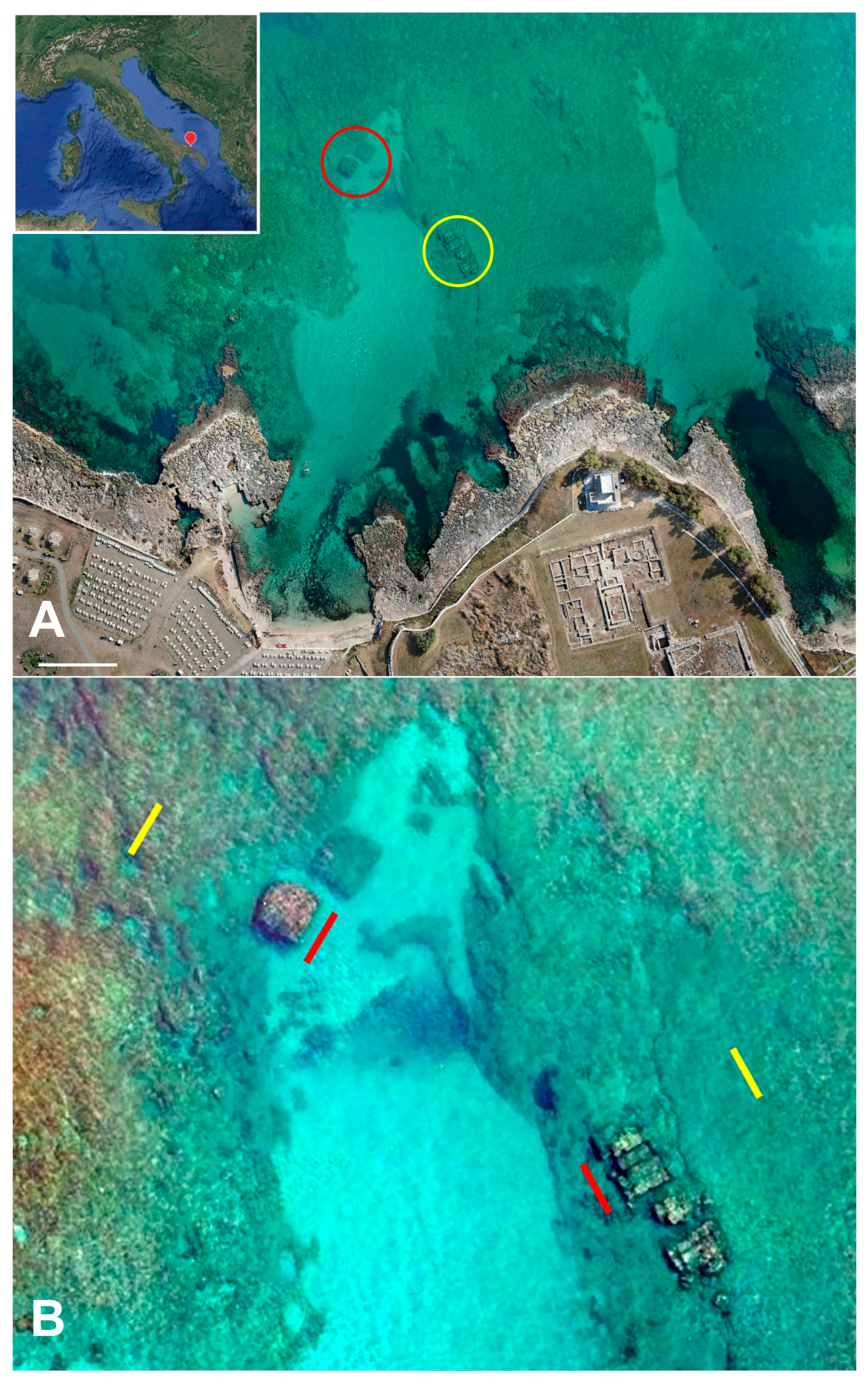 Fishes 10 00431 g001 Fishes 10 00431 g001