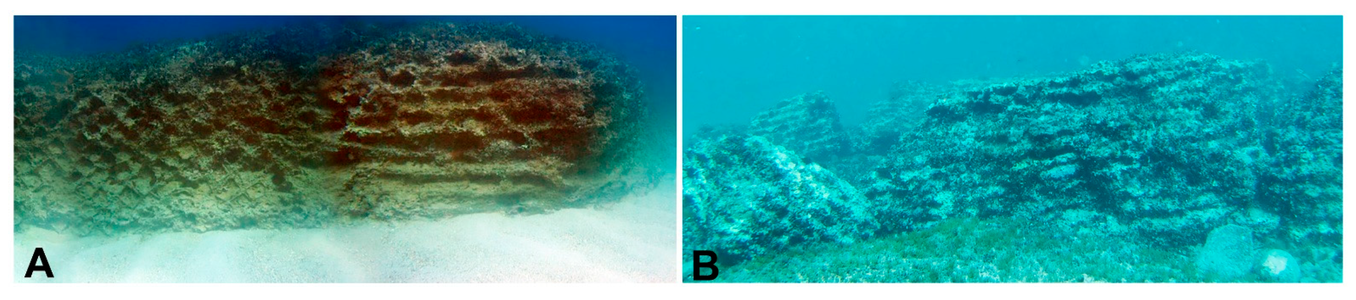 Fishes 10 00431 g002 Fishes 10 00431 g002