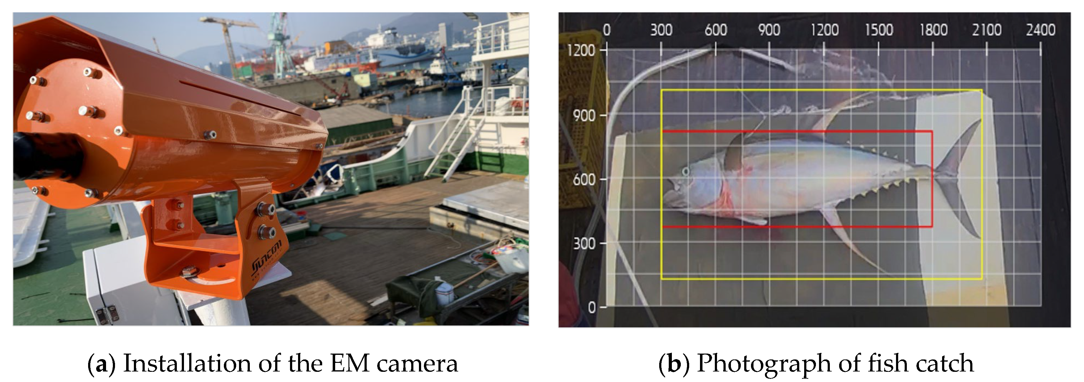 Fishes 10 00435 g004