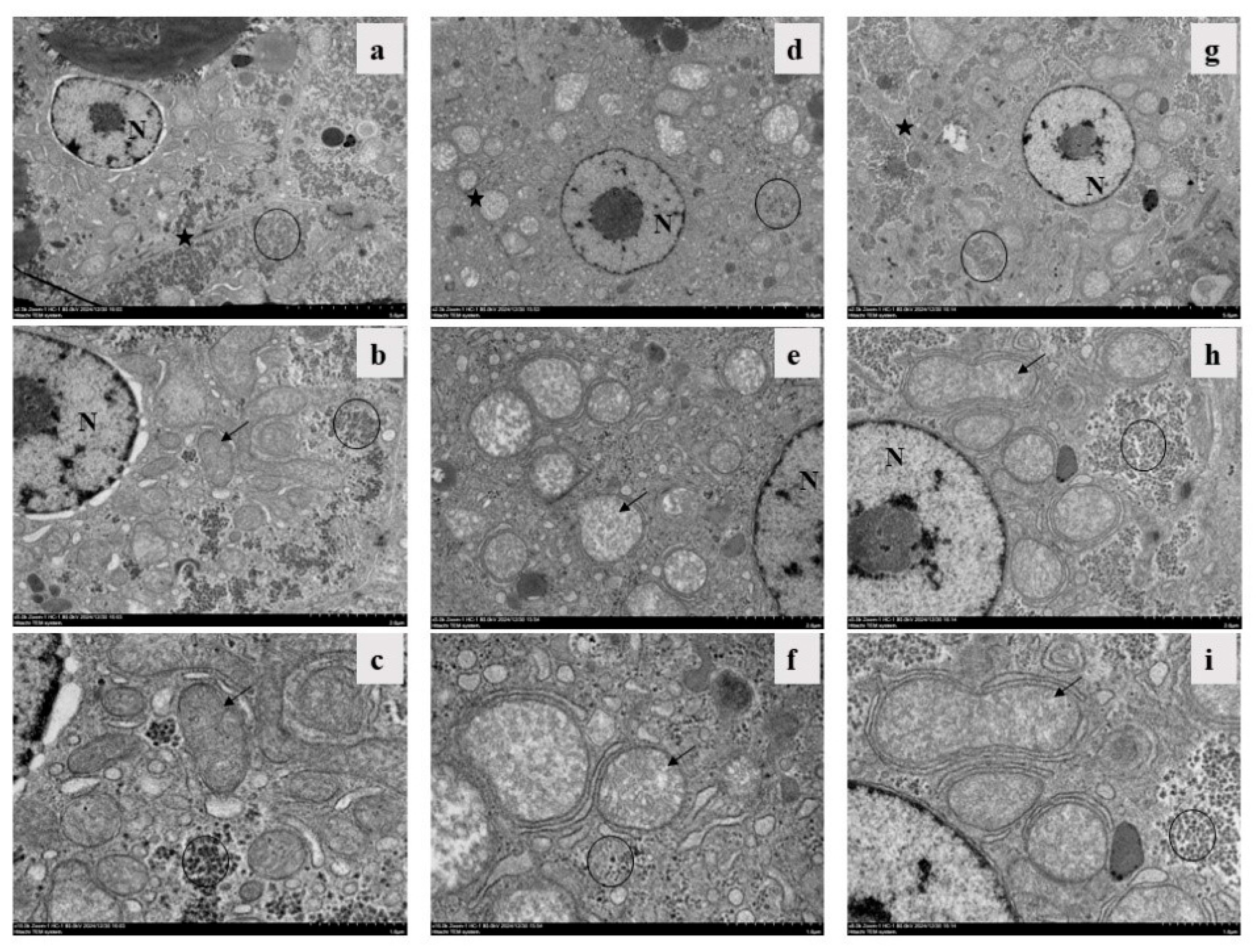 Fishes 10 00436 g005 Fishes 10 00436 g005