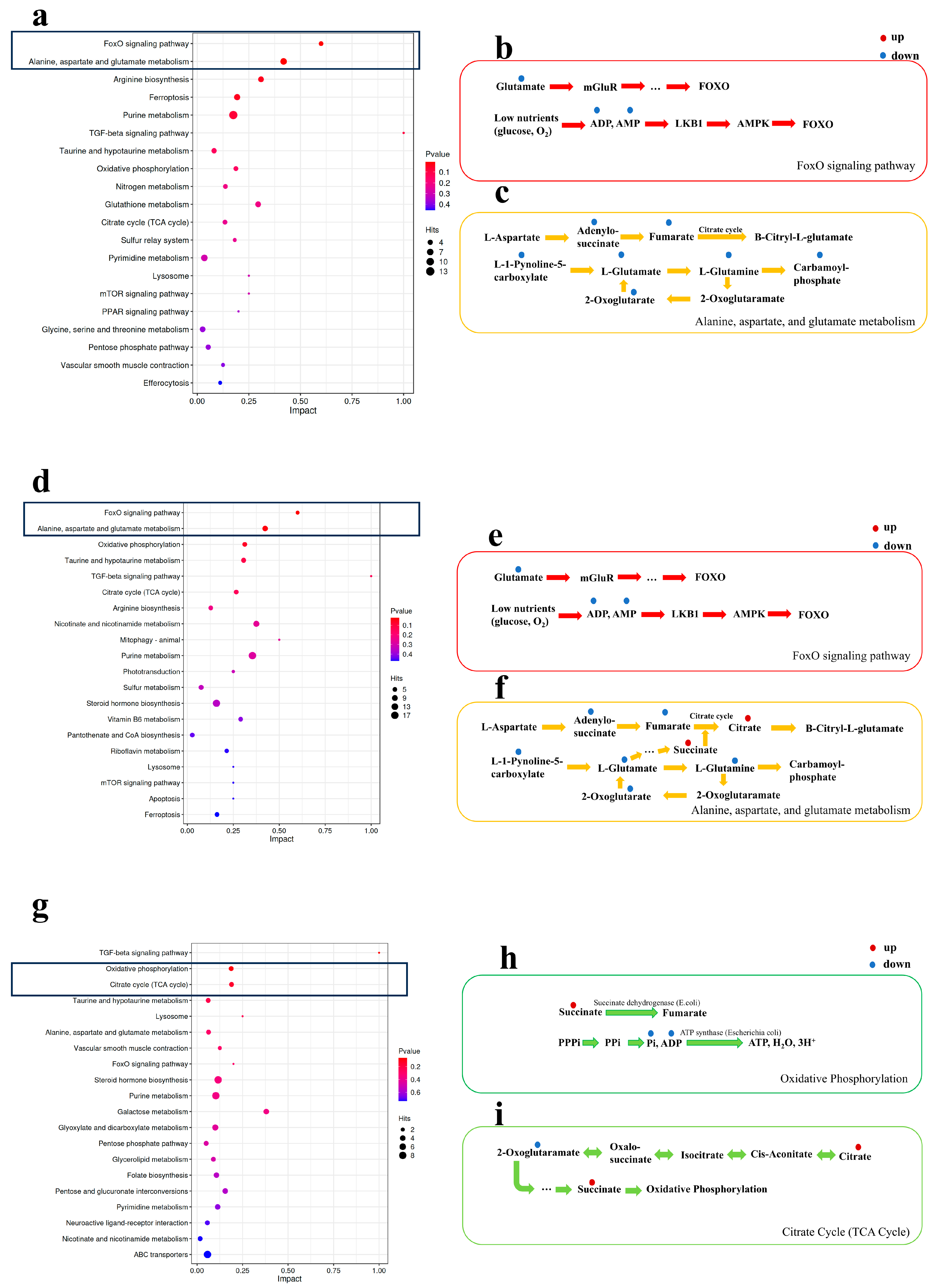 Fishes 10 00436 g006 Fishes 10 00436 g006