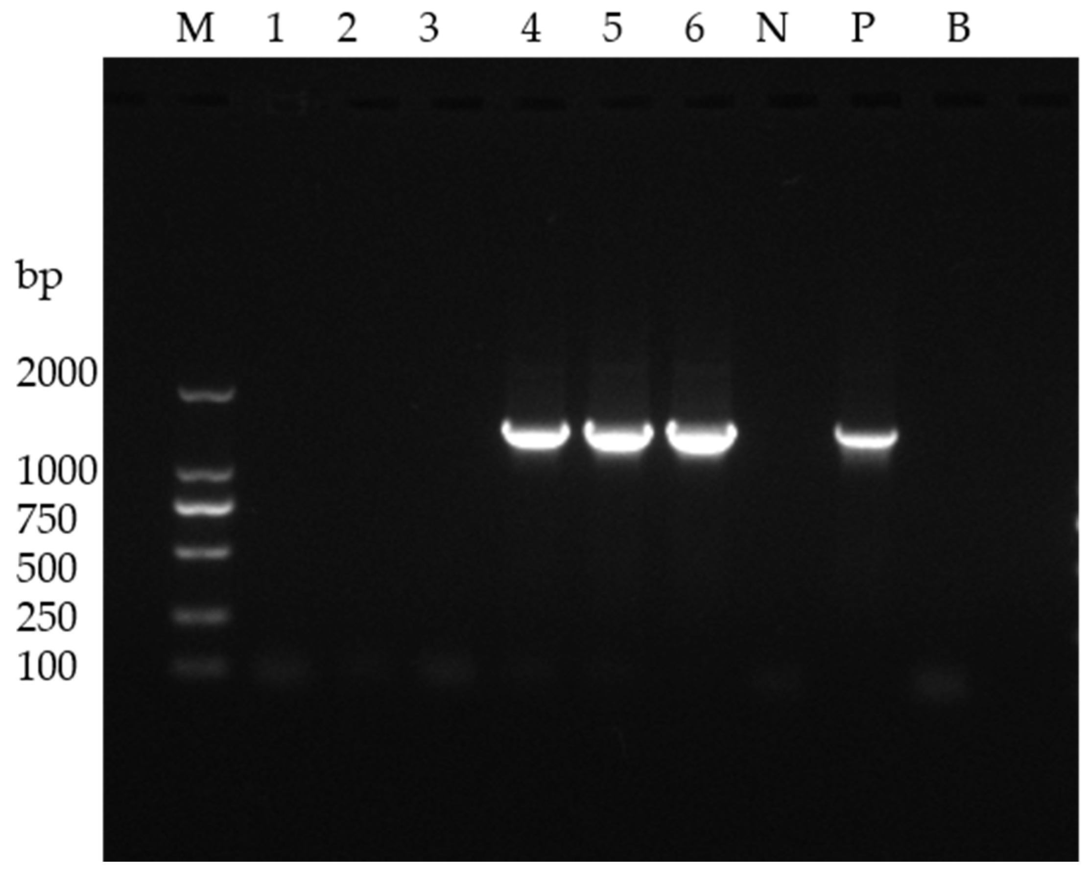 Fishes 10 00440 g002 Fishes 10 00440 g002