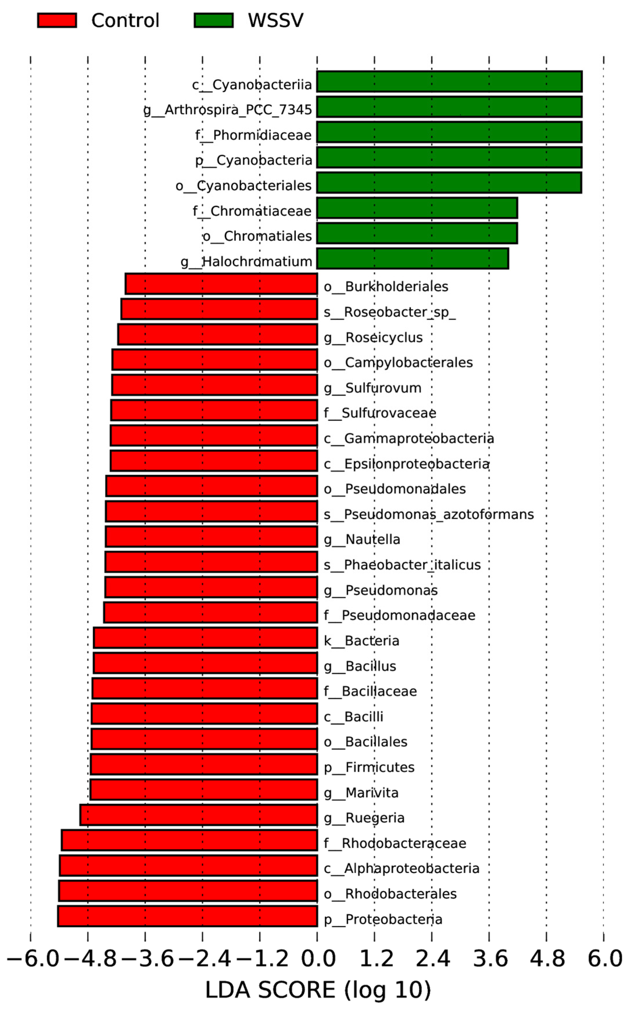 Fishes 10 00440 g008 Fishes 10 00440 g008