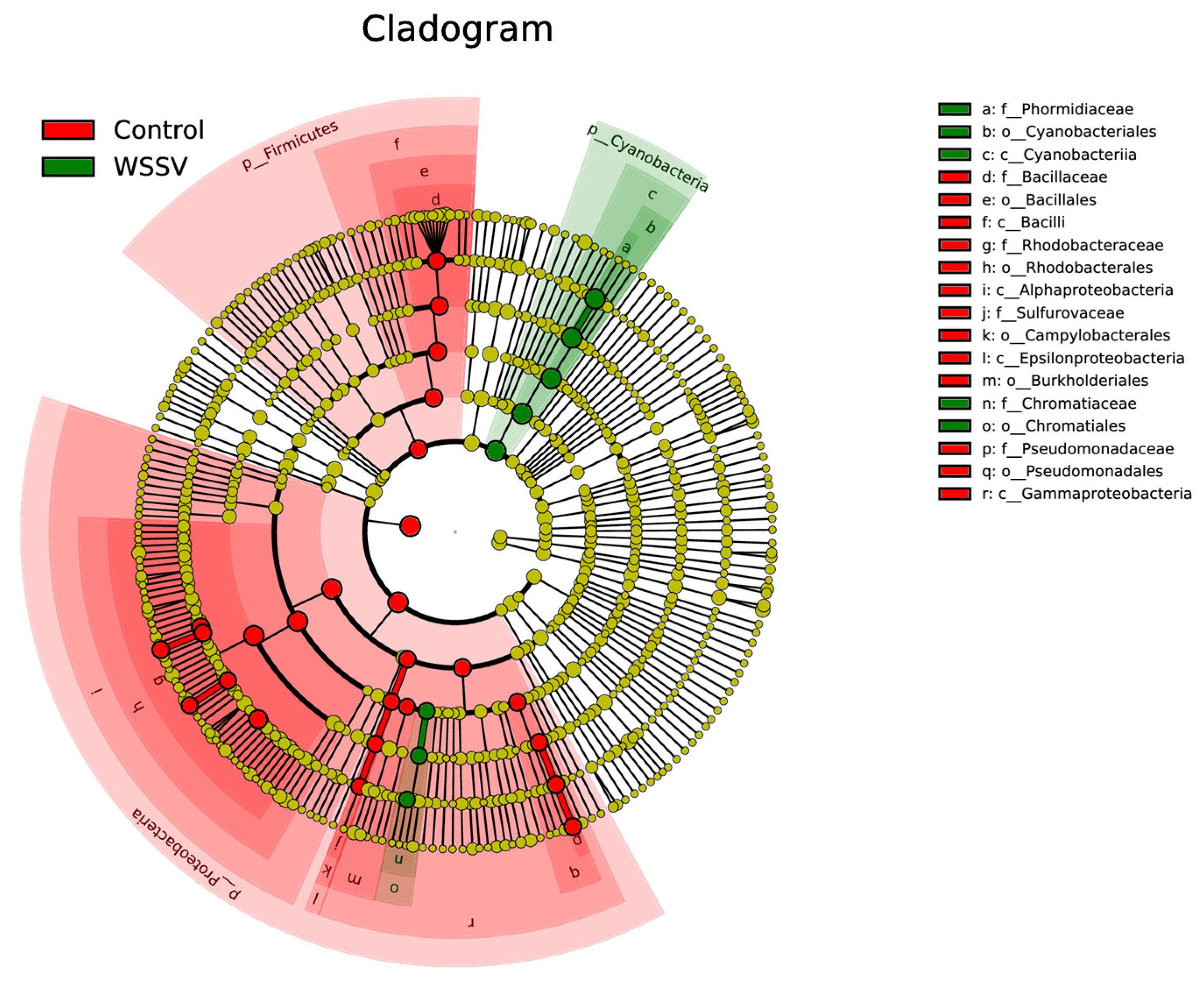Fishes 10 00440 g009 Fishes 10 00440 g009