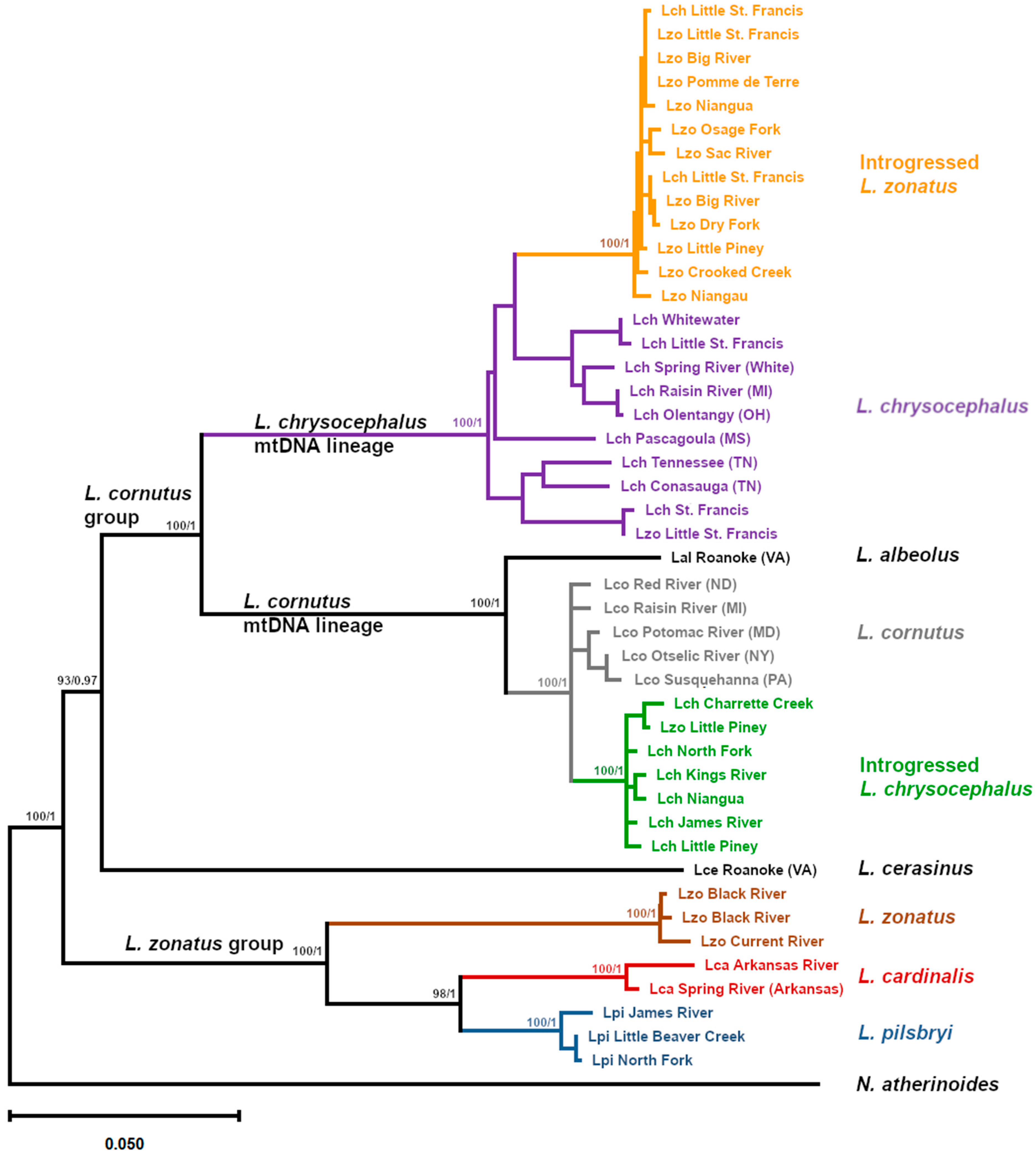 Fishes 10 00443 g001