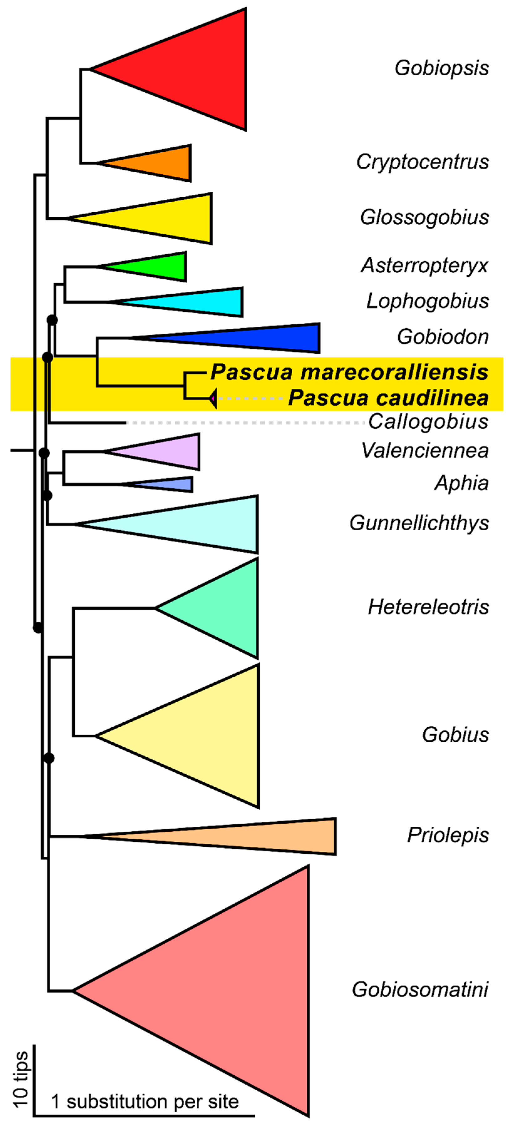 Fishes 10 00449 g001