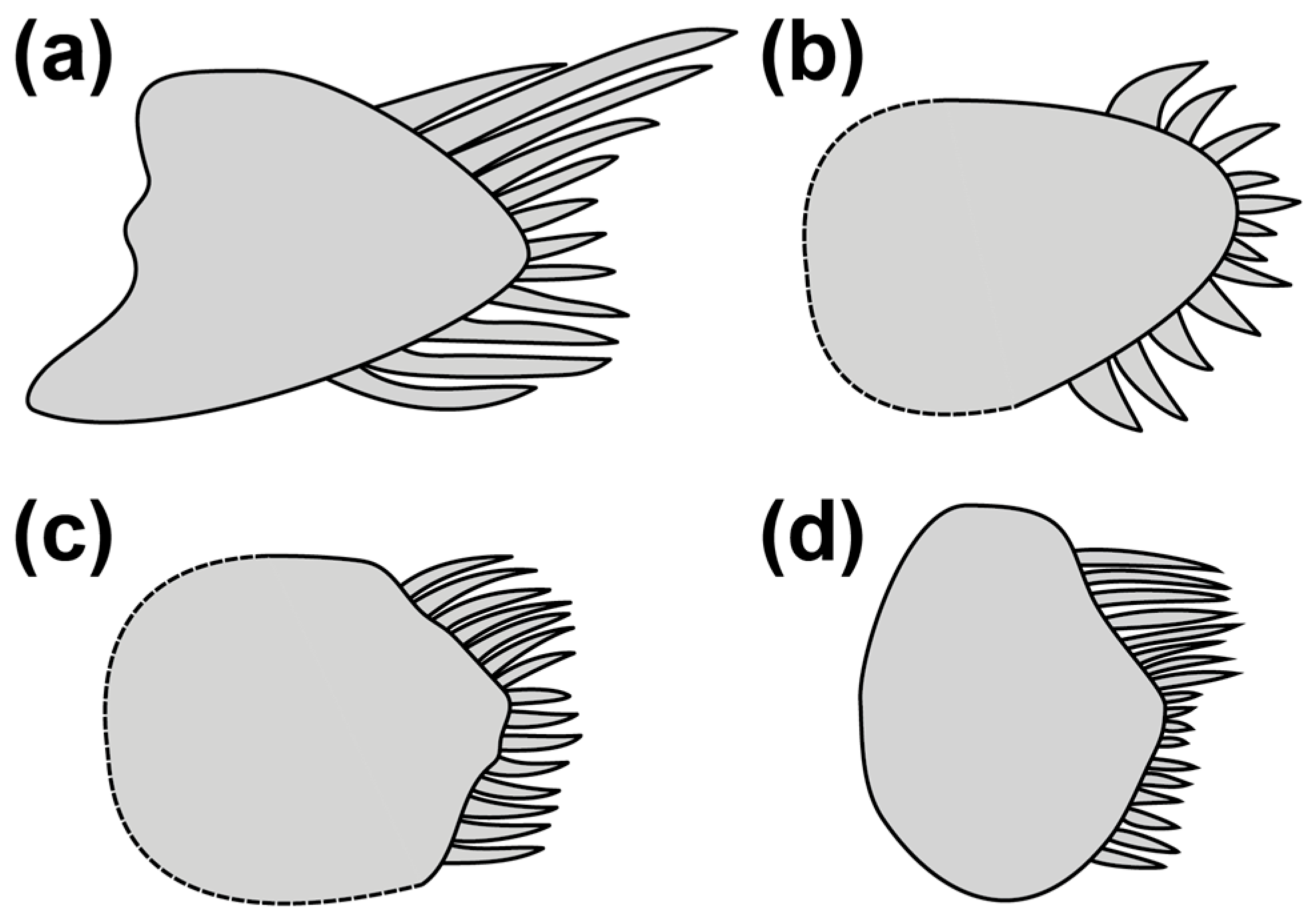 Fishes 10 00449 g002