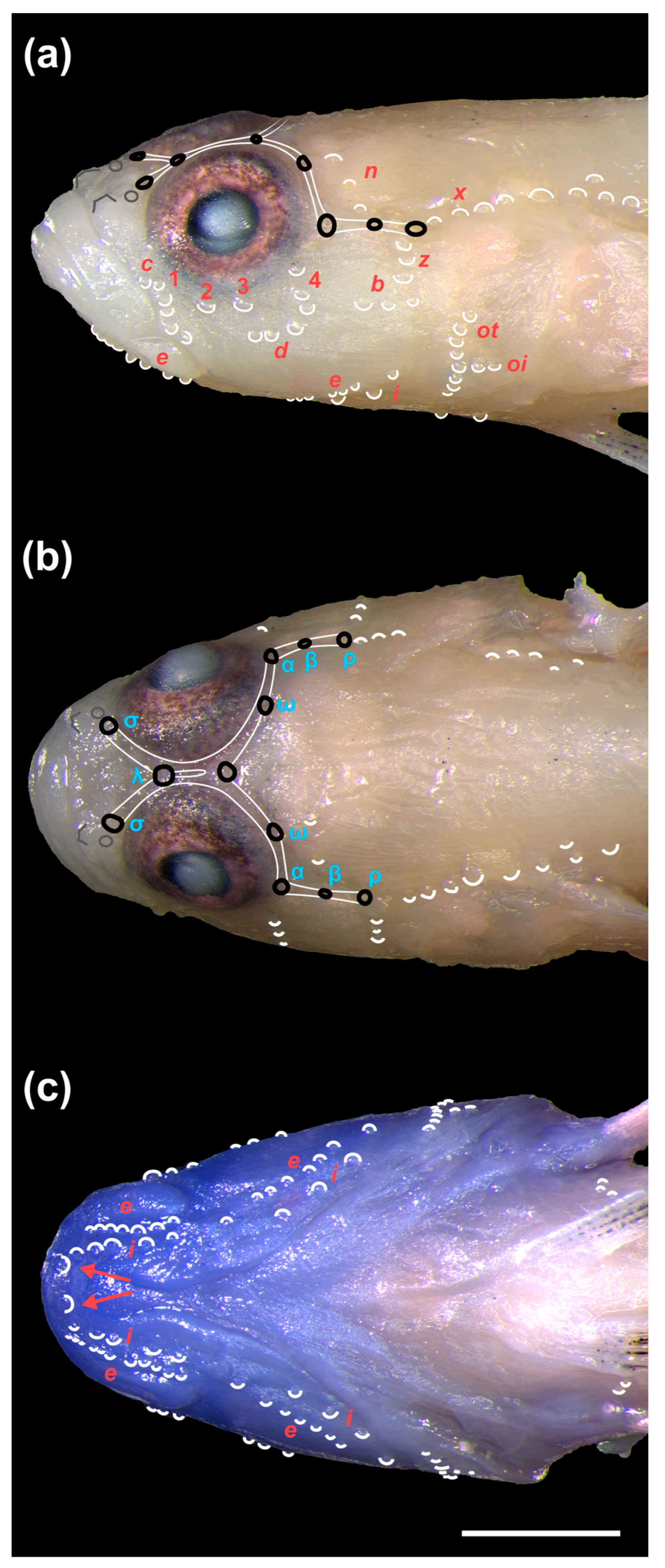 Fishes 10 00449 g007