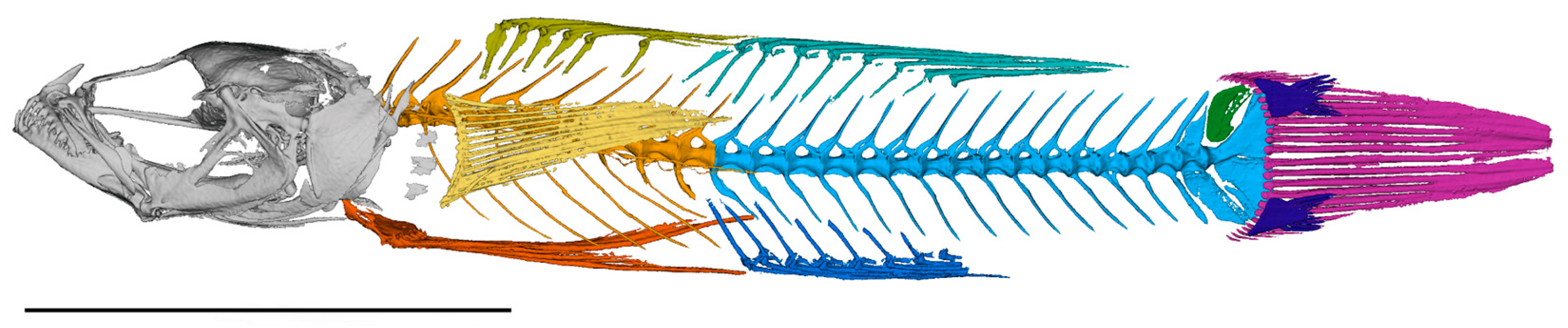 Fishes 10 00449 g010