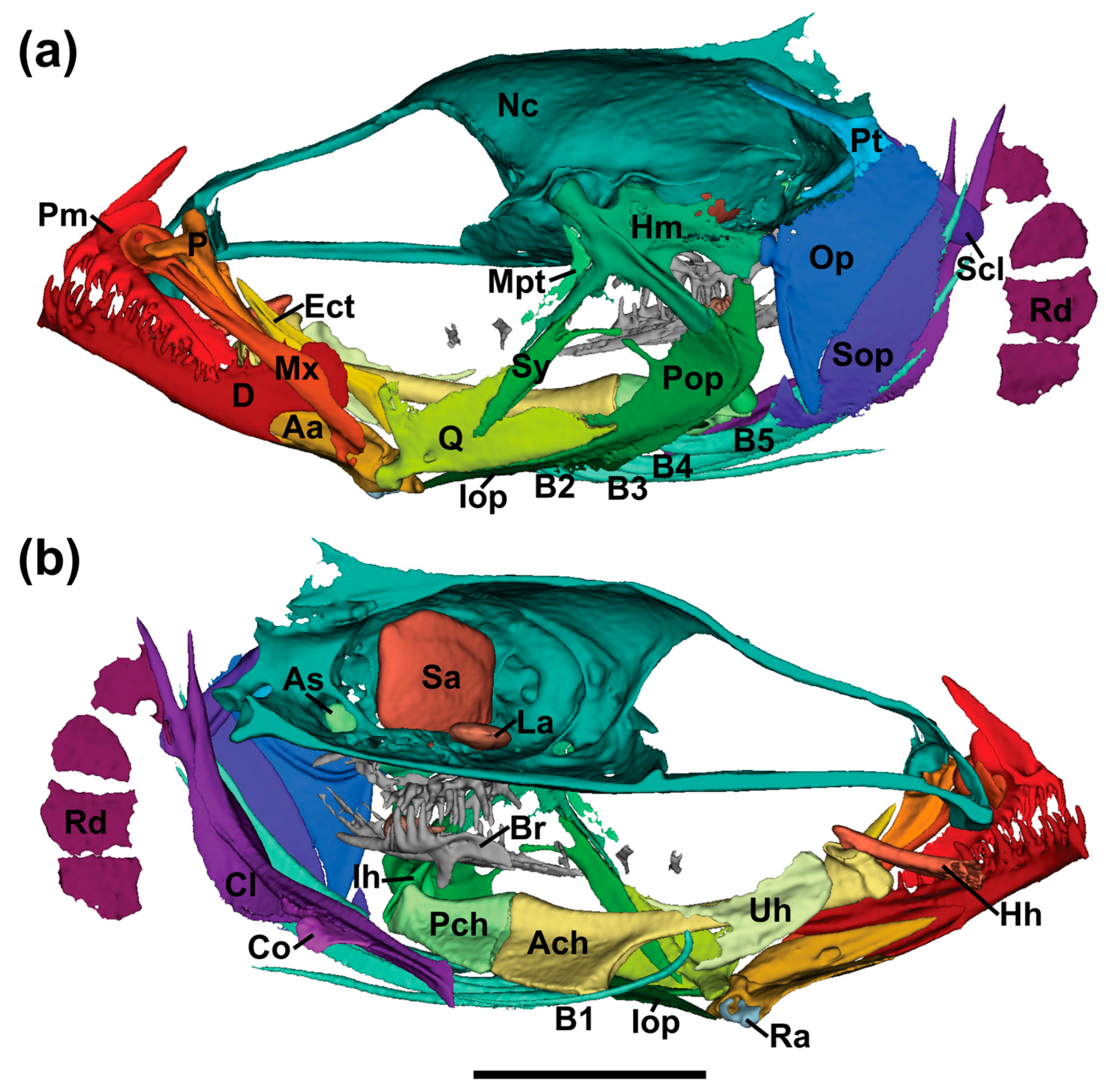 Fishes 10 00449 g013